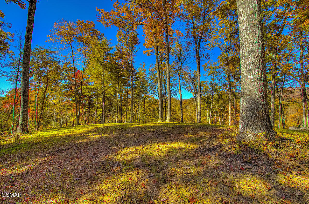 1968 E Millers Cove Road Walland TN 37886