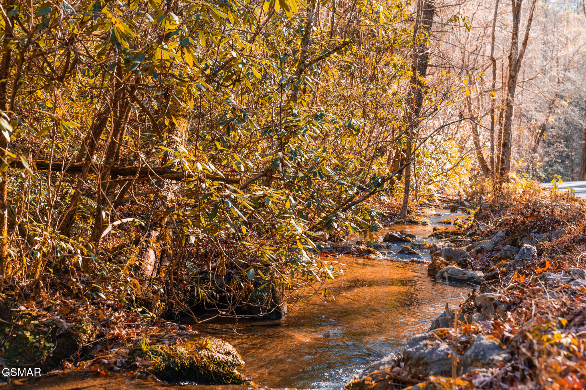 1968 E Millers Cove Road Walland TN 37886
