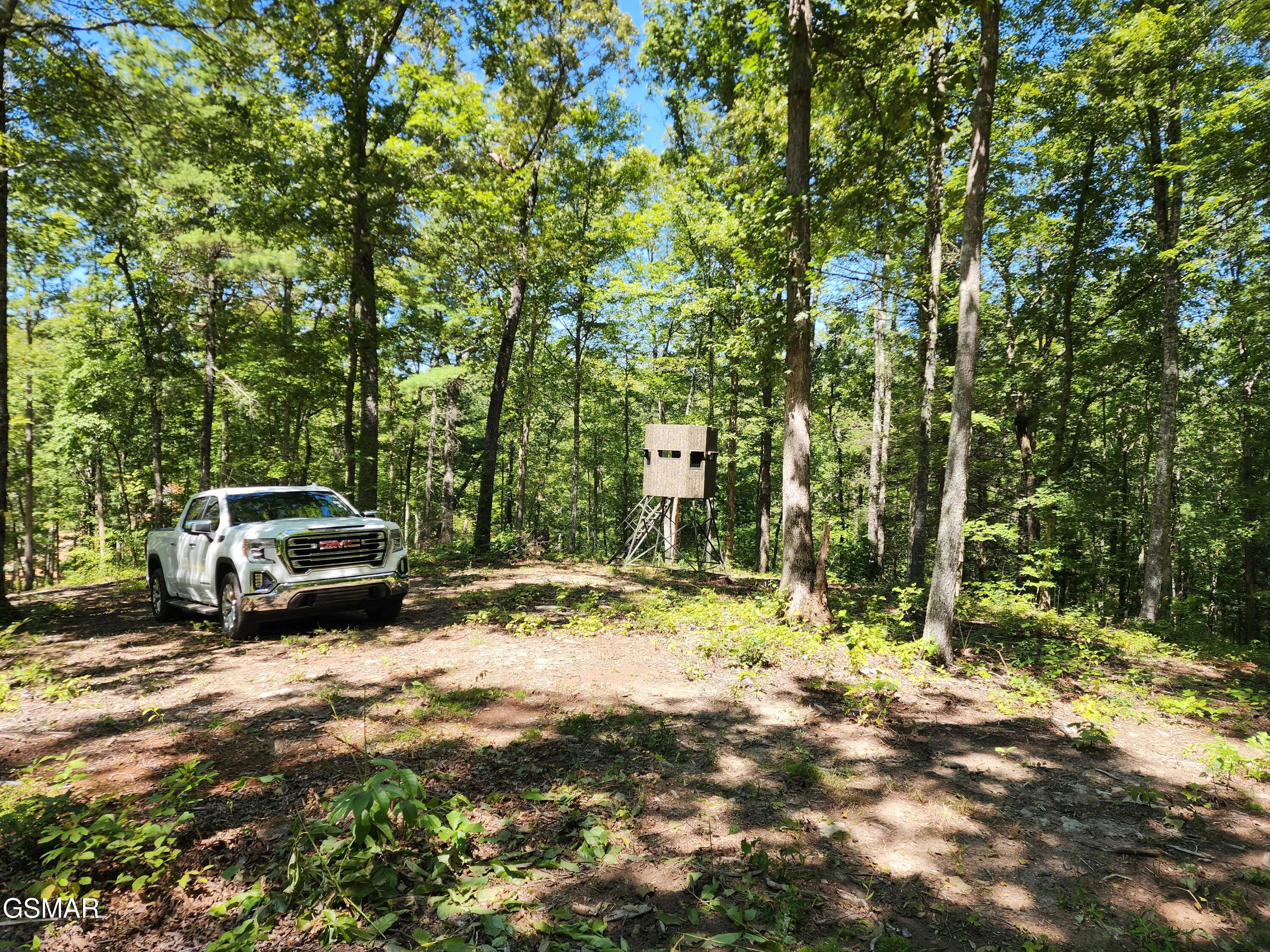 1968 E Millers Cove Road Walland TN 37886