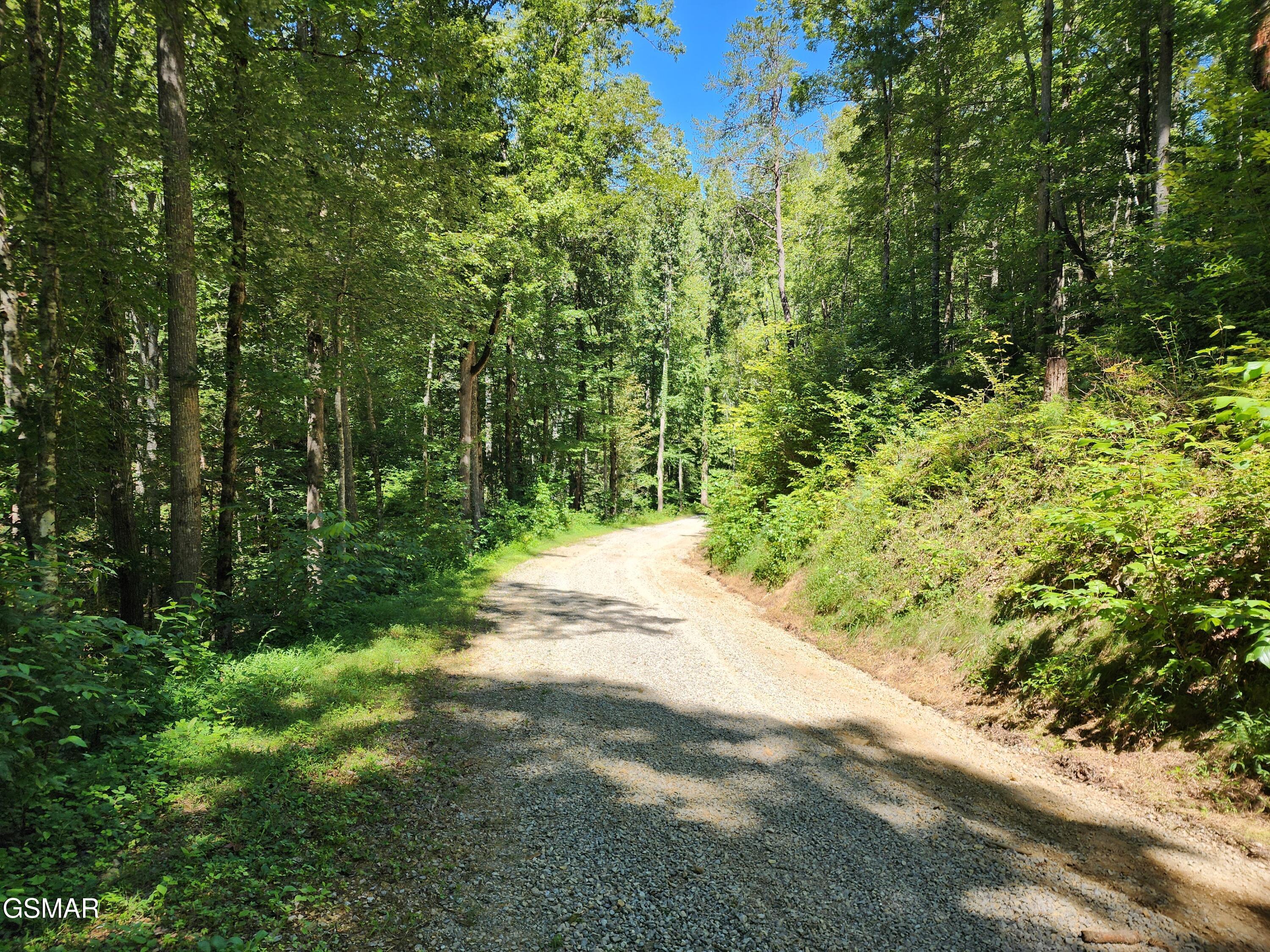 1968 E Millers Cove Road Walland TN 37886