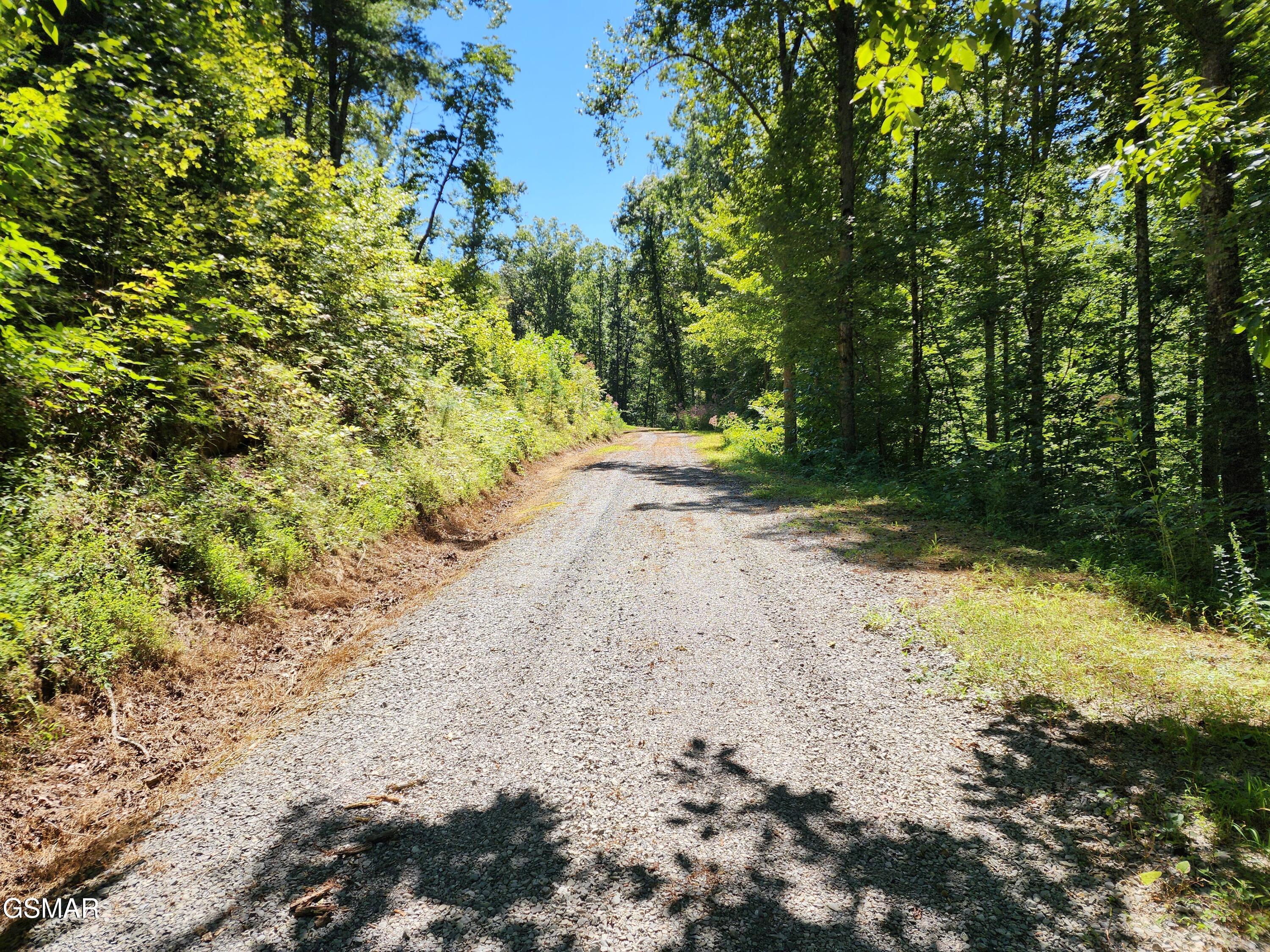 1968 E Millers Cove Road Walland TN 37886