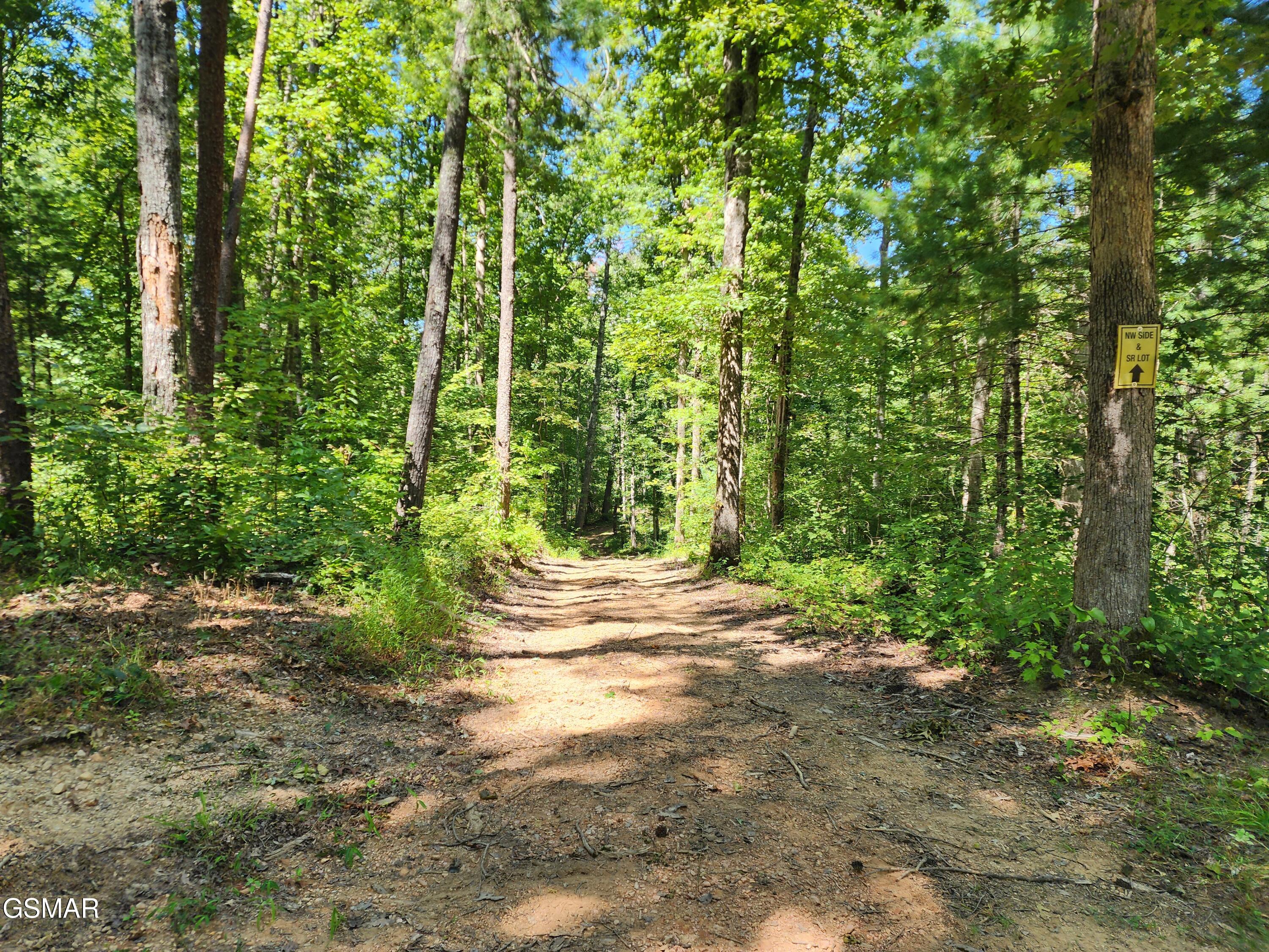 1968 E Millers Cove Road Walland TN 37886