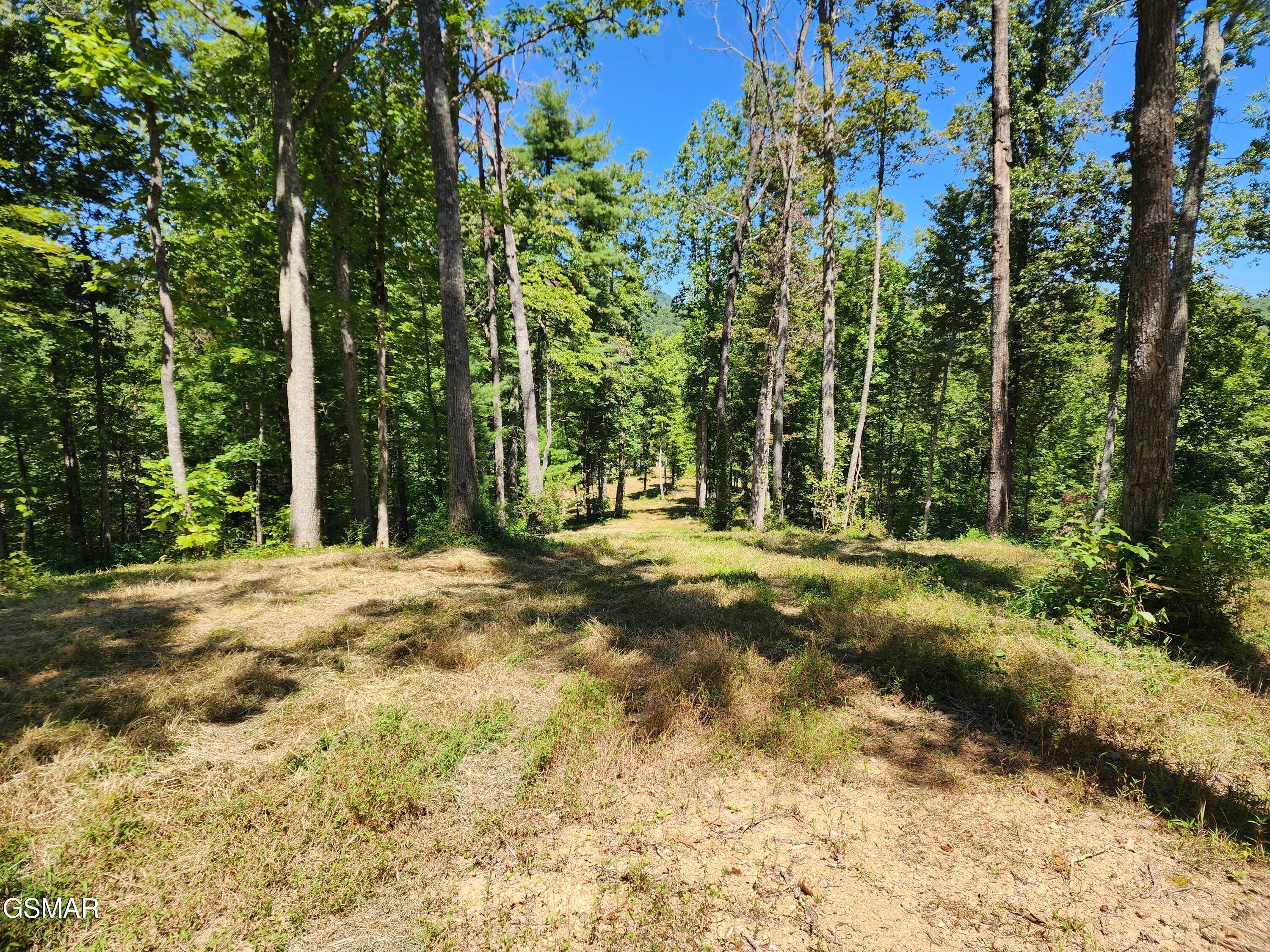 1968 E Millers Cove Road Walland TN 37886