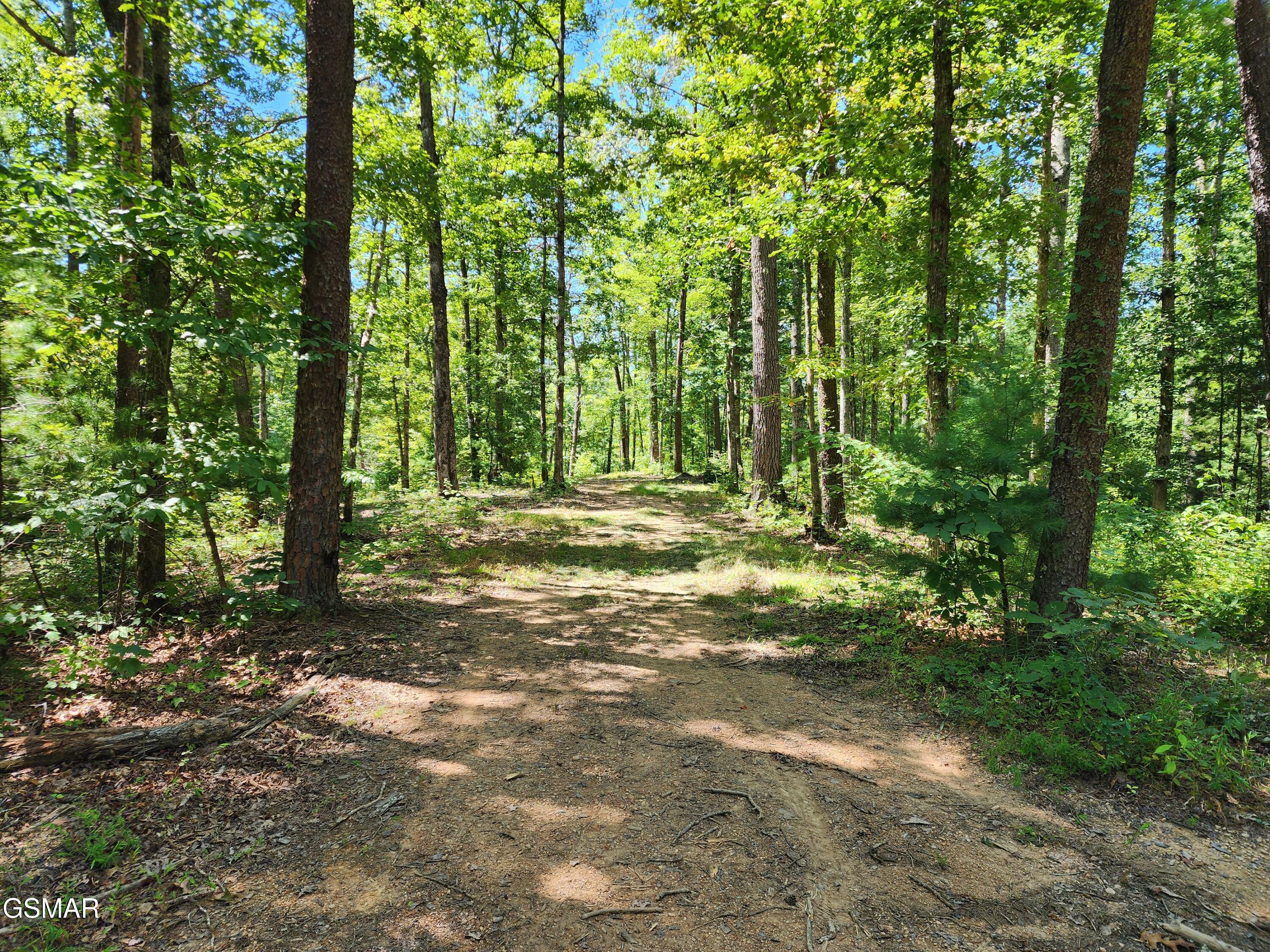 1968 E Millers Cove Road Walland TN 37886