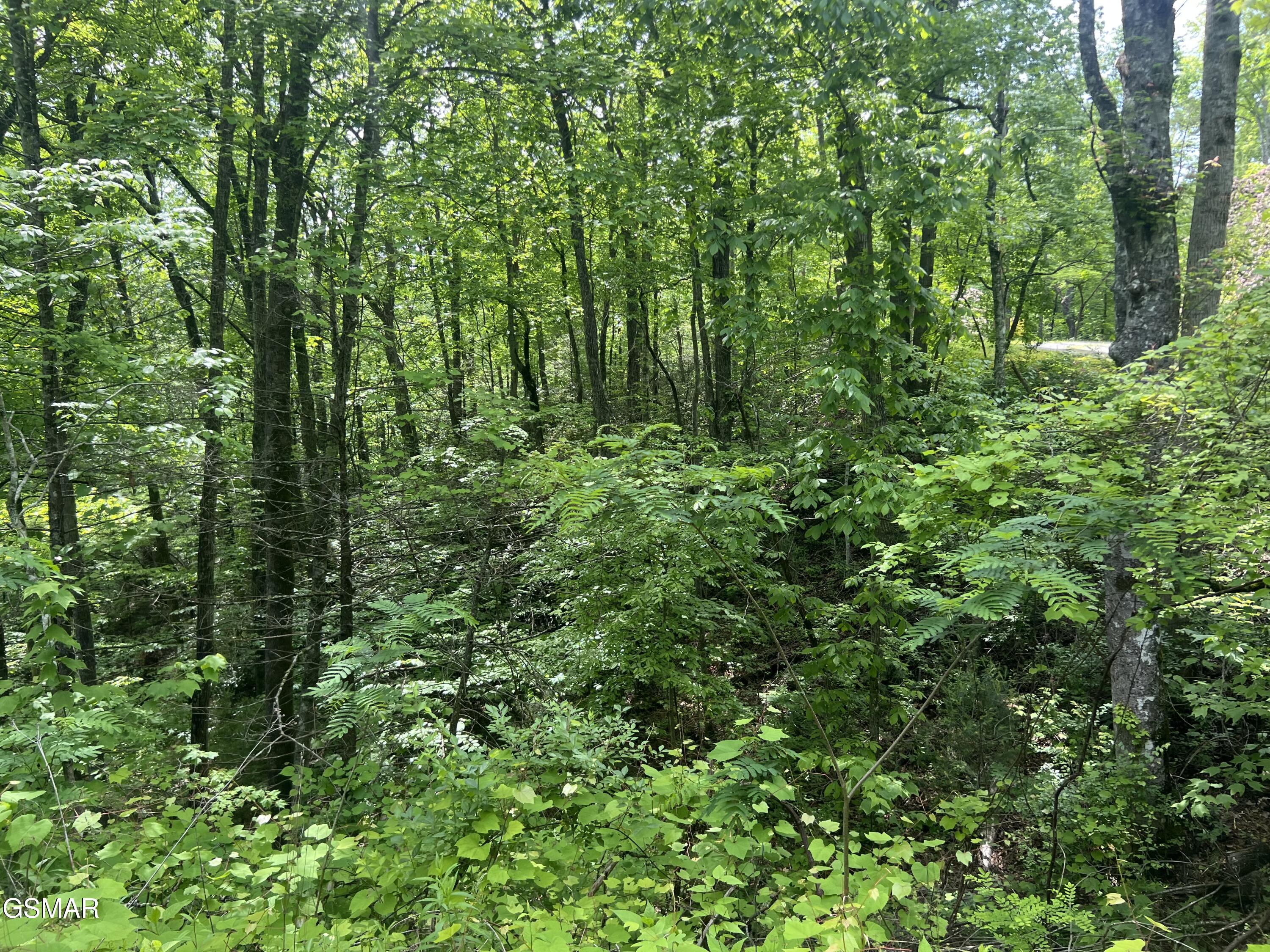 Lot 3 Old Cartertown Road (4.49 Acres) Road Gatlinburg TN 37738