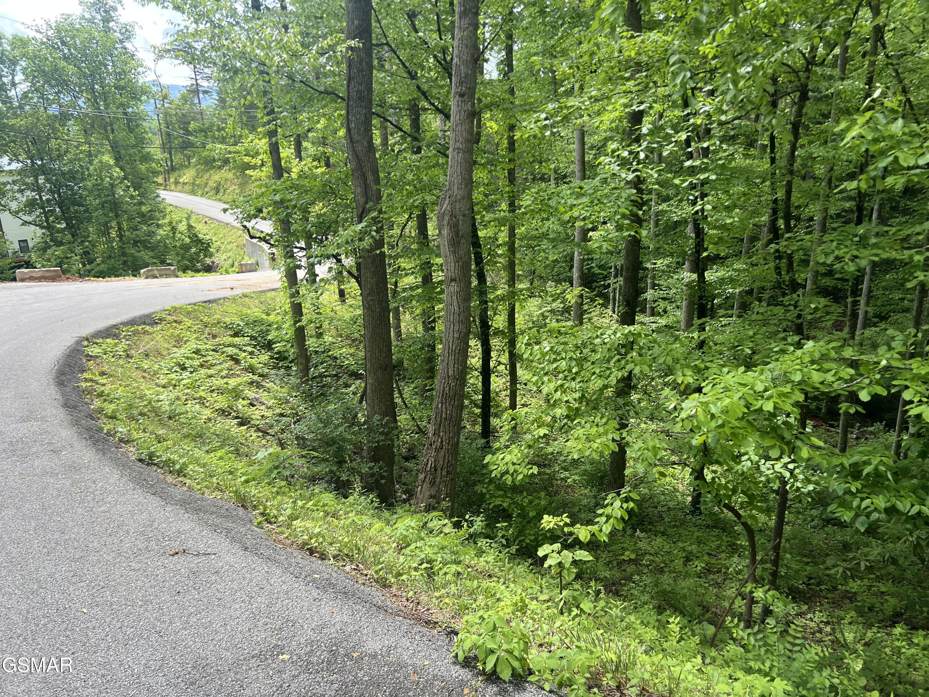Lot 3 Old Cartertown Road (4.49 Acres) Road Gatlinburg TN 37738
