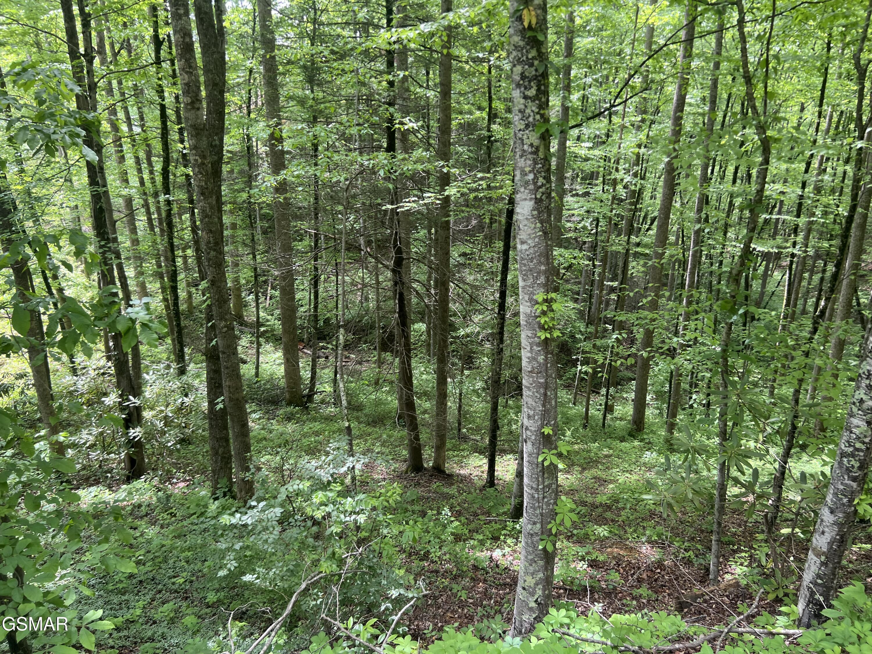 Lot 3 Old Cartertown Road (4.49 Acres) Road Gatlinburg TN 37738