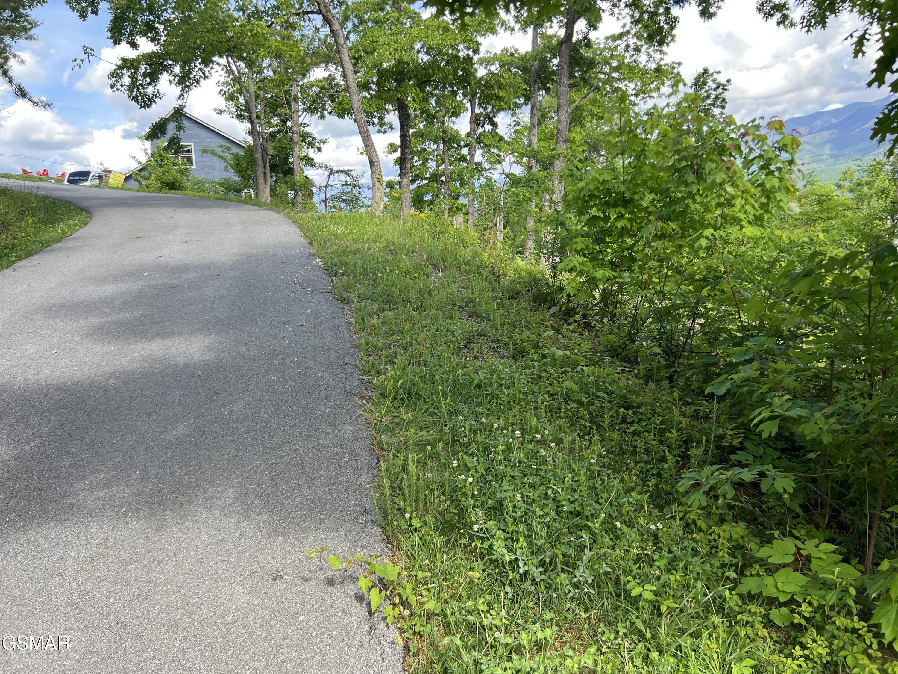 Lot 3 Old Cartertown Road (4.49 Acres) Road Gatlinburg TN 37738