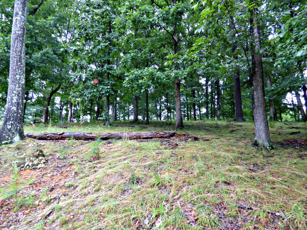 Lot 38r Stonehenge Way Dandridge TN 37725
