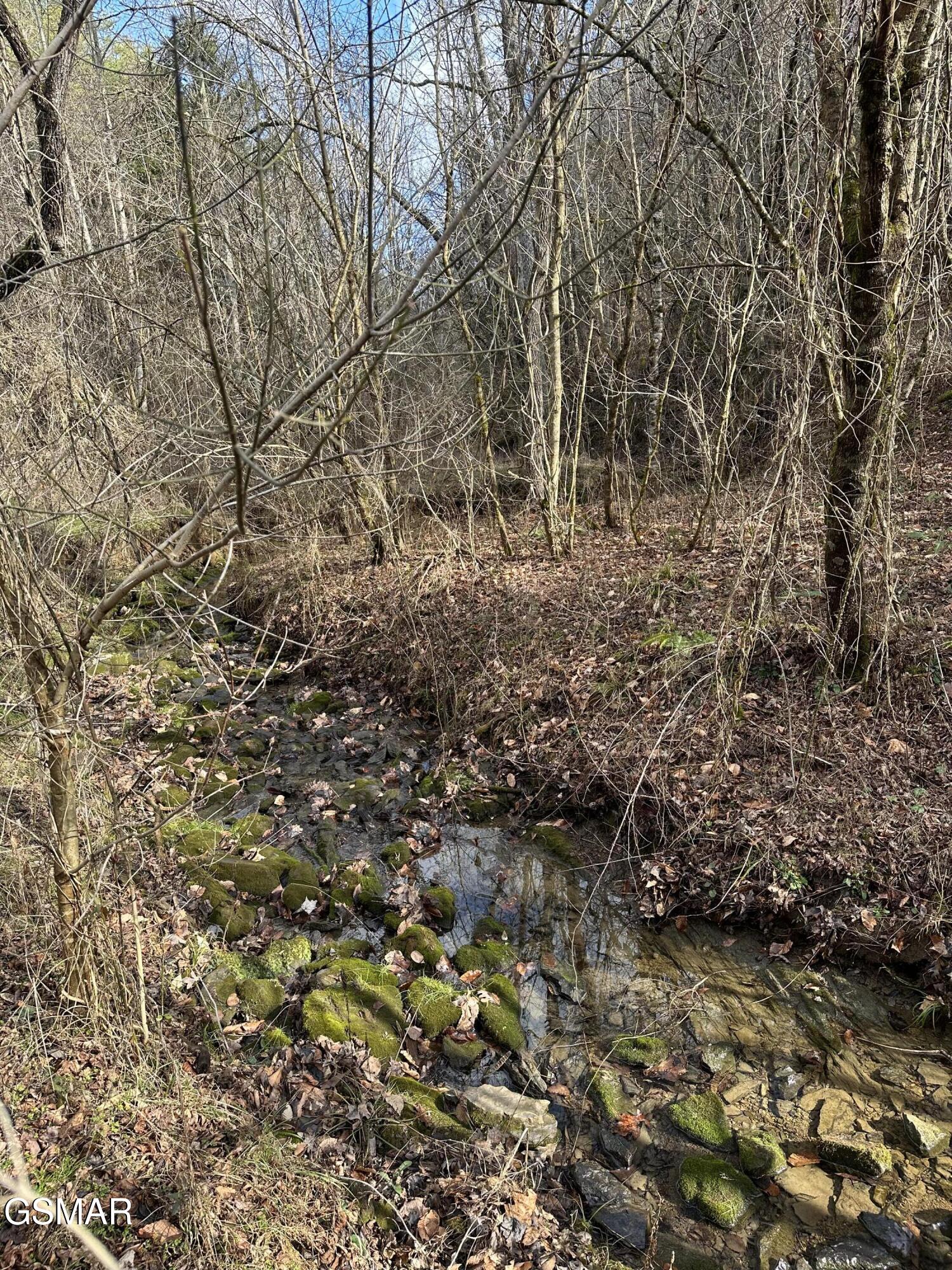 000 Leatherwood Road Sevierville TN 37876