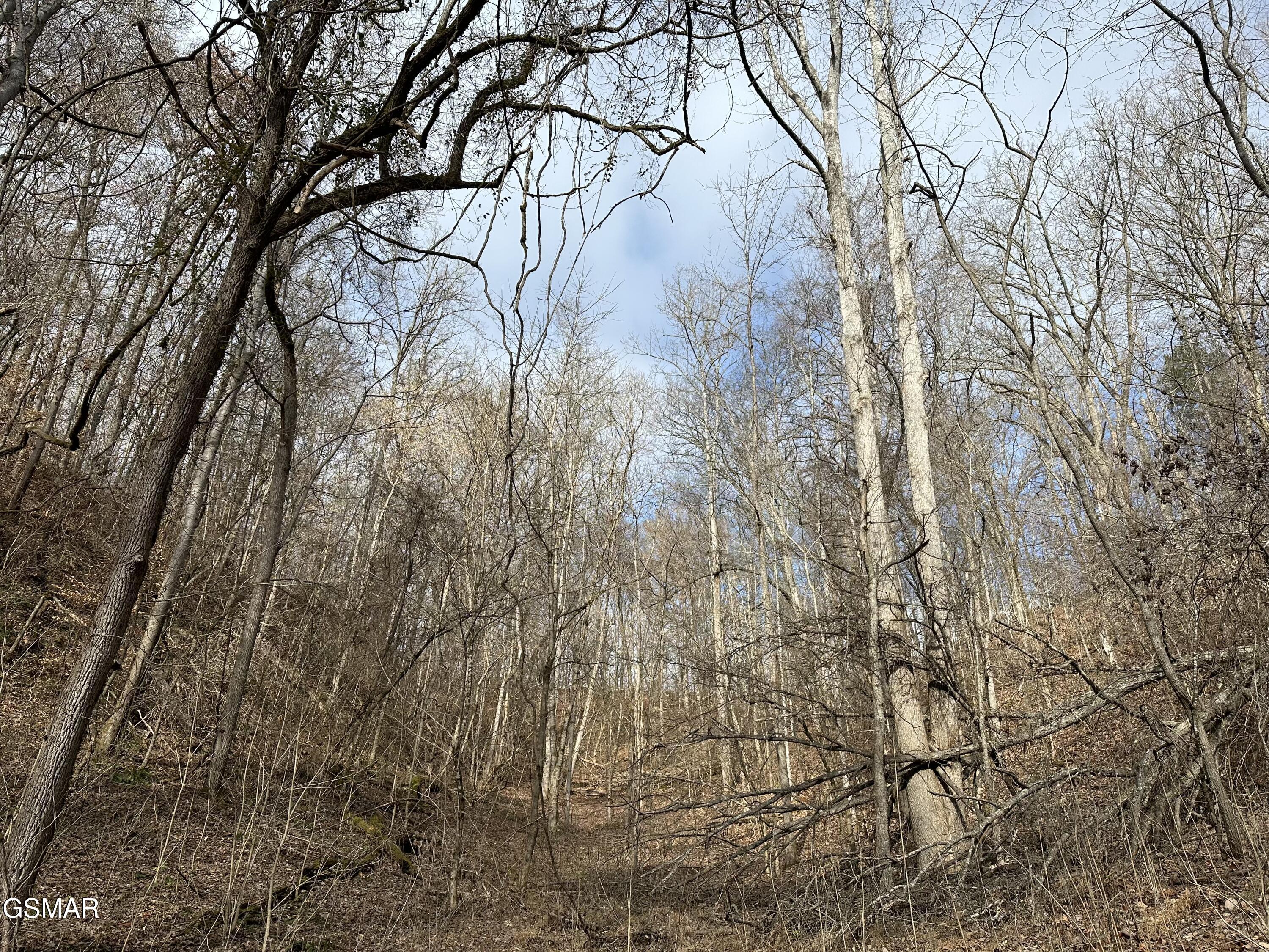 000 Leatherwood Road Sevierville TN 37876
