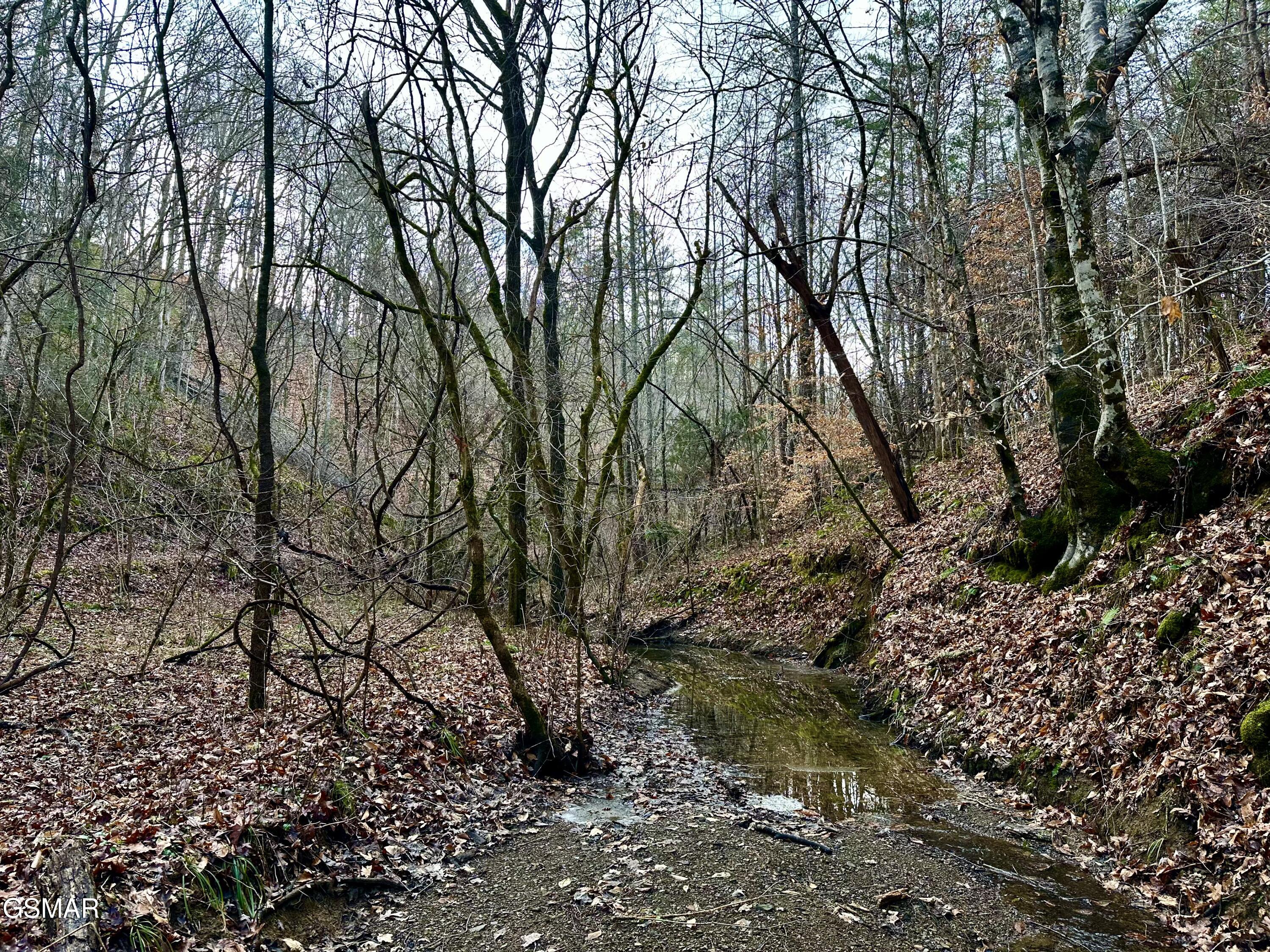000 Leatherwood Road Sevierville TN 37876