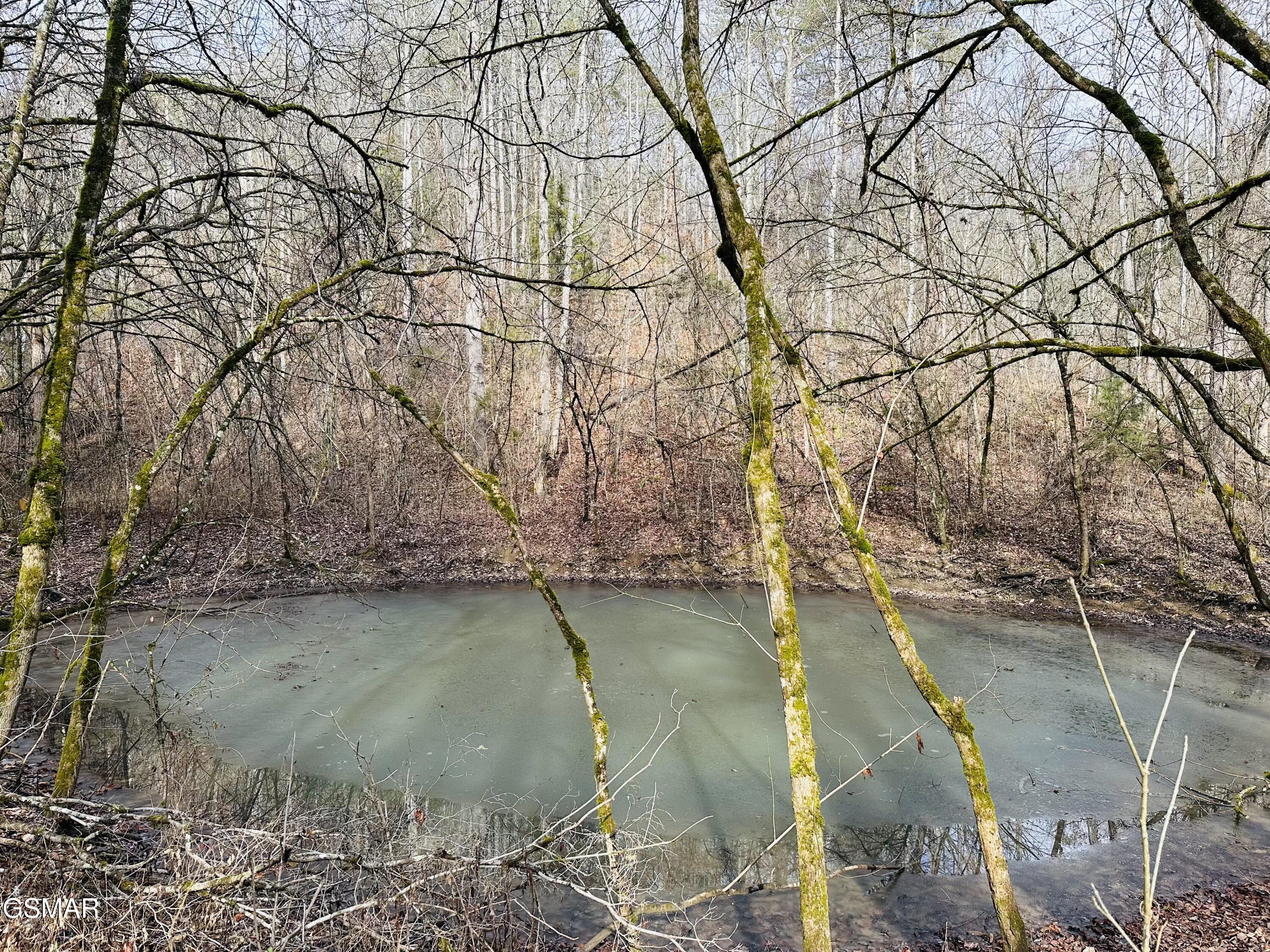 000 Leatherwood Road Sevierville TN 37876