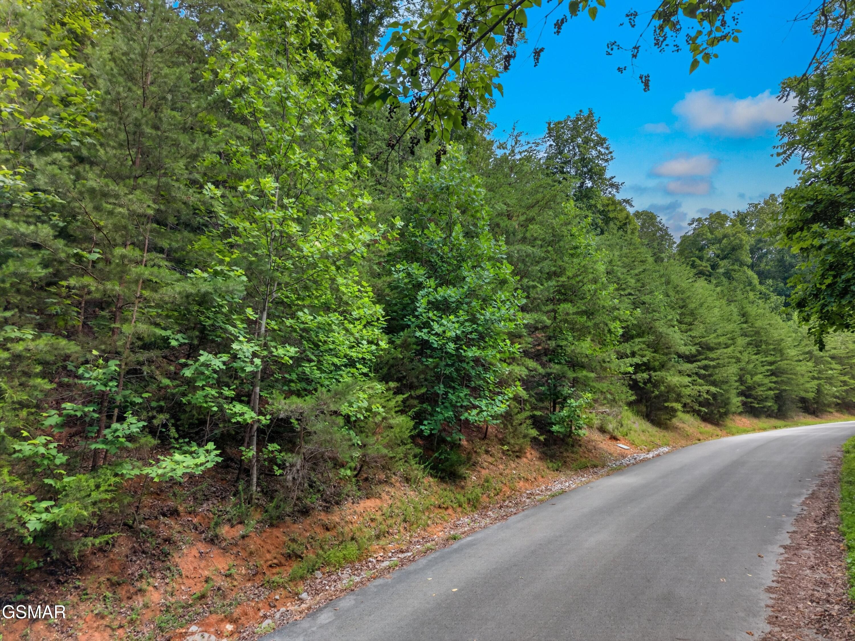 Lot 452 Silver Trail New Tazewell TN 37825