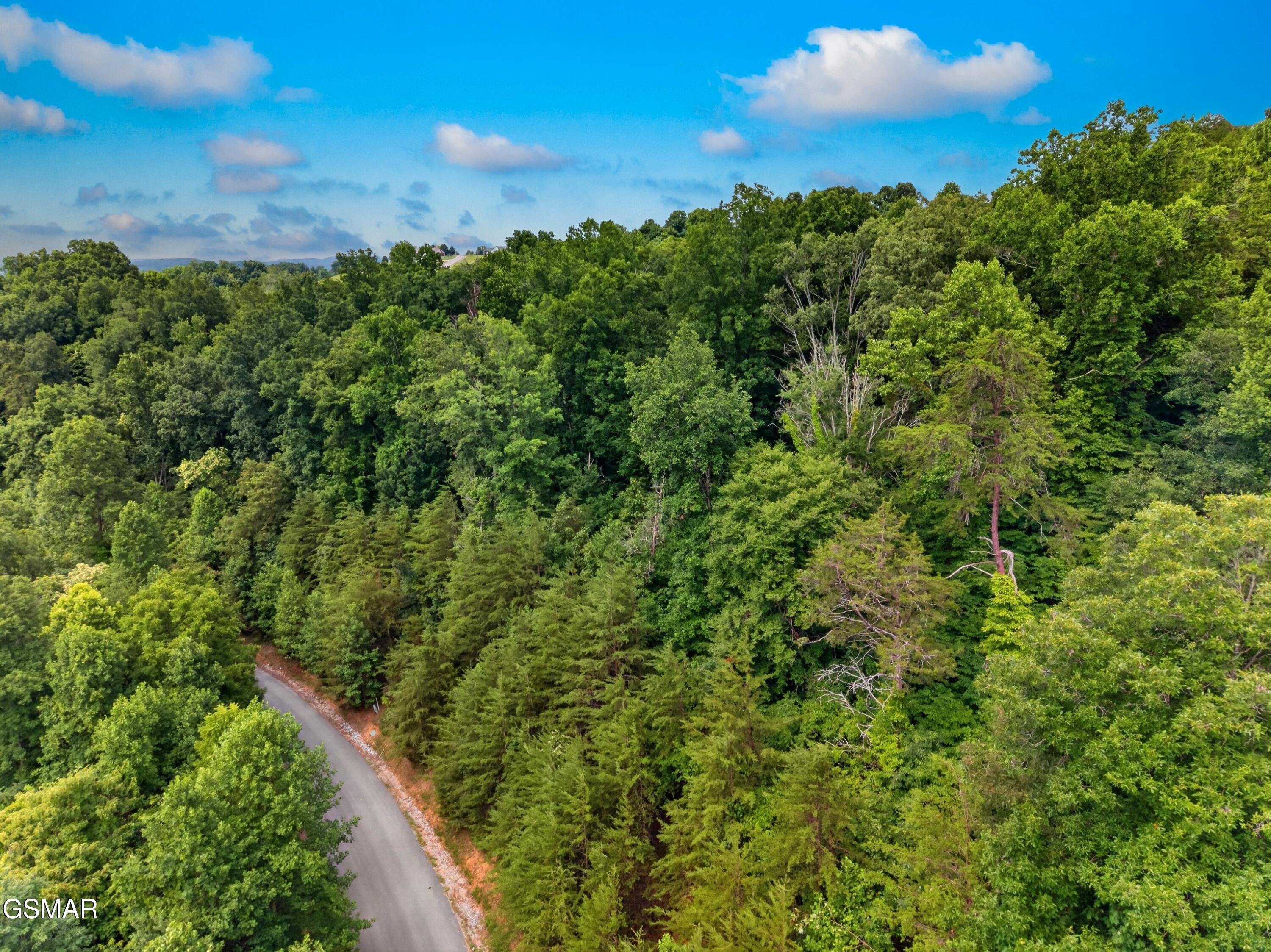 Lot 452 Silver Trail New Tazewell TN 37825