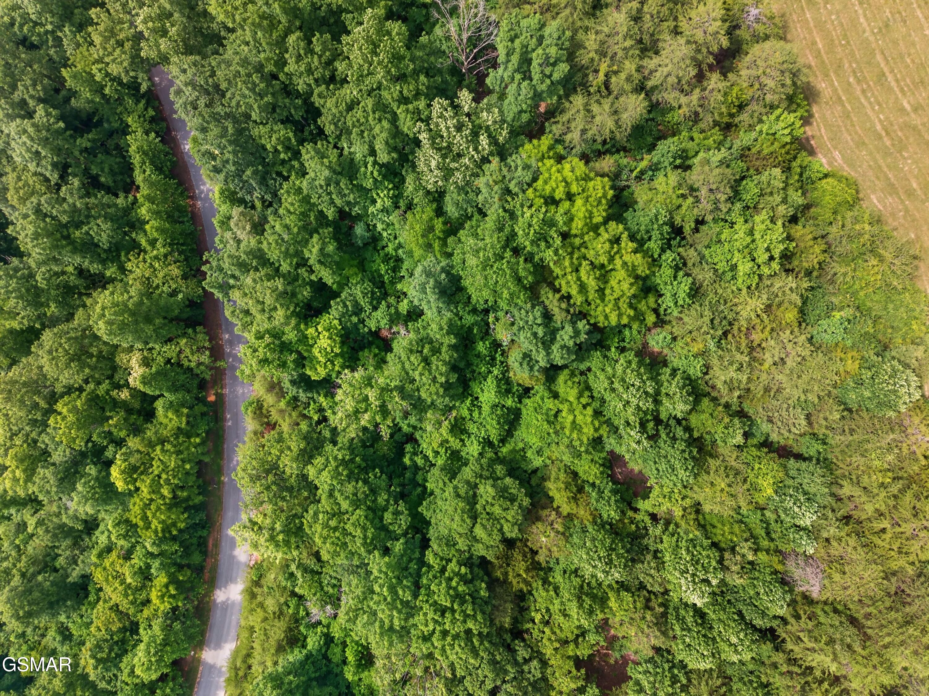 Lot 452 Silver Trail New Tazewell TN 37825