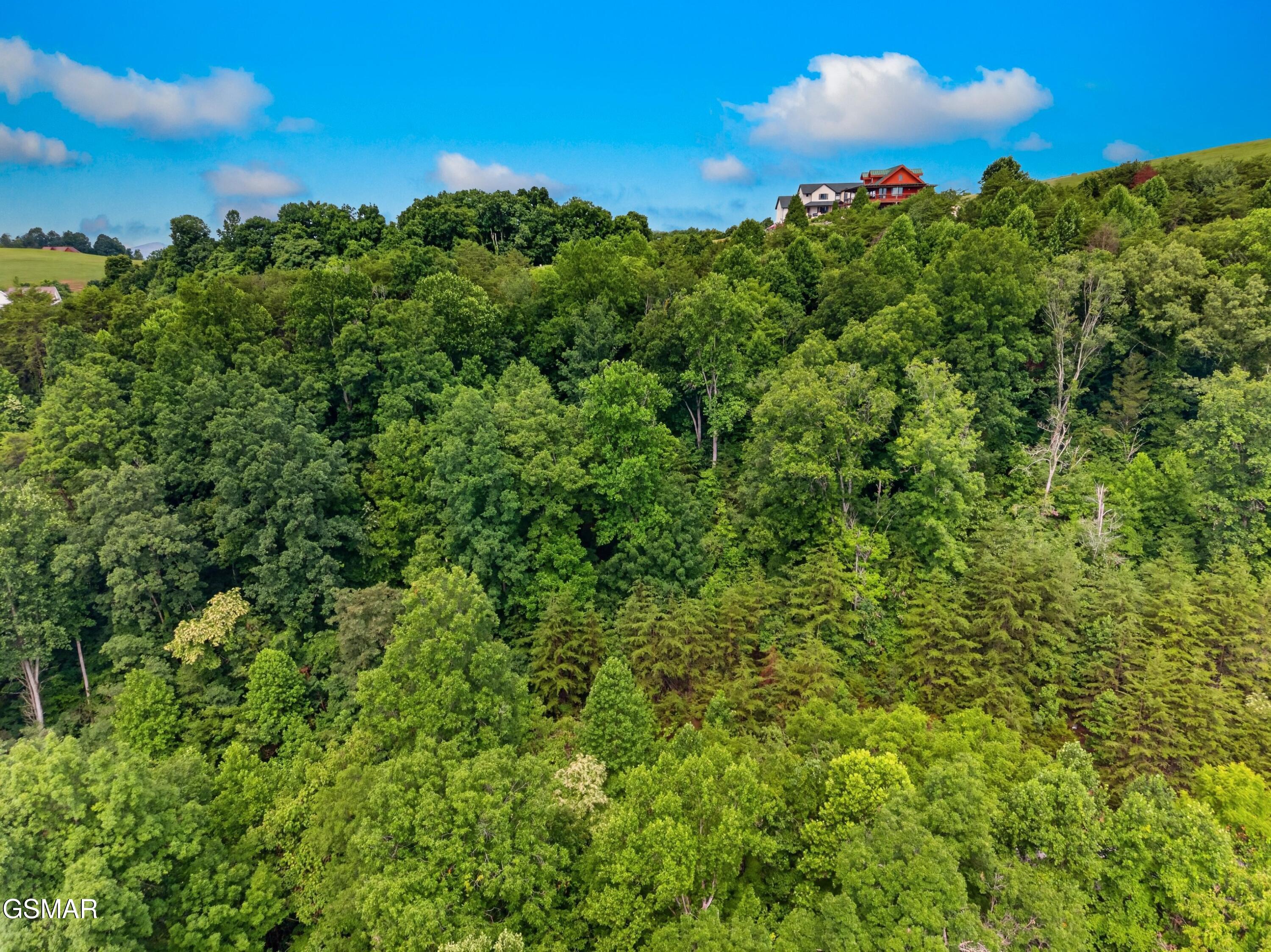 Lot 452 Silver Trail New Tazewell TN 37825