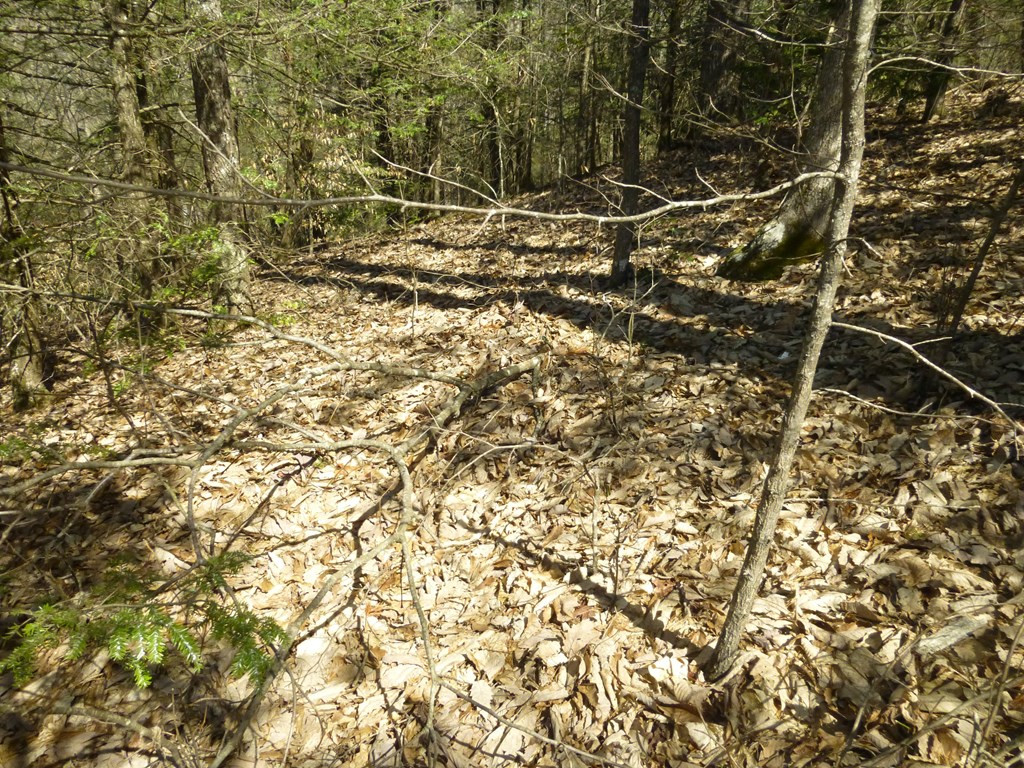 Lots 24&25 Sonshine Ridge Road Cosby TN 37722