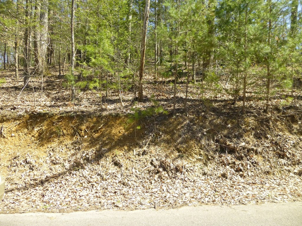 Lots 24&25 Sonshine Ridge Road Cosby TN 37722