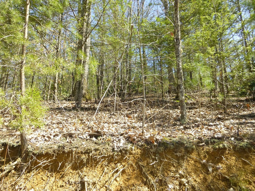 Lots 24&25 Sonshine Ridge Road Cosby TN 37722