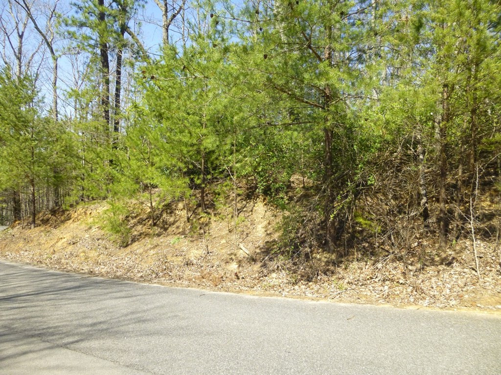 Lots 24&25 Sonshine Ridge Road Cosby TN 37722