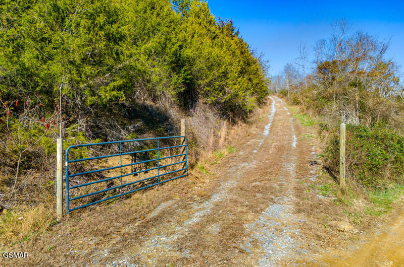 125 Picadilly Way Parrottsville TN 37843