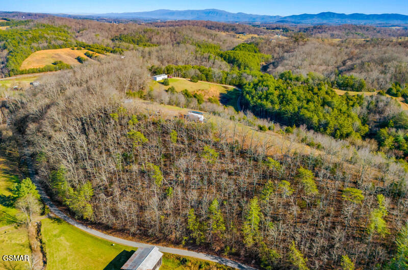 125 Picadilly Way Parrottsville TN 37843