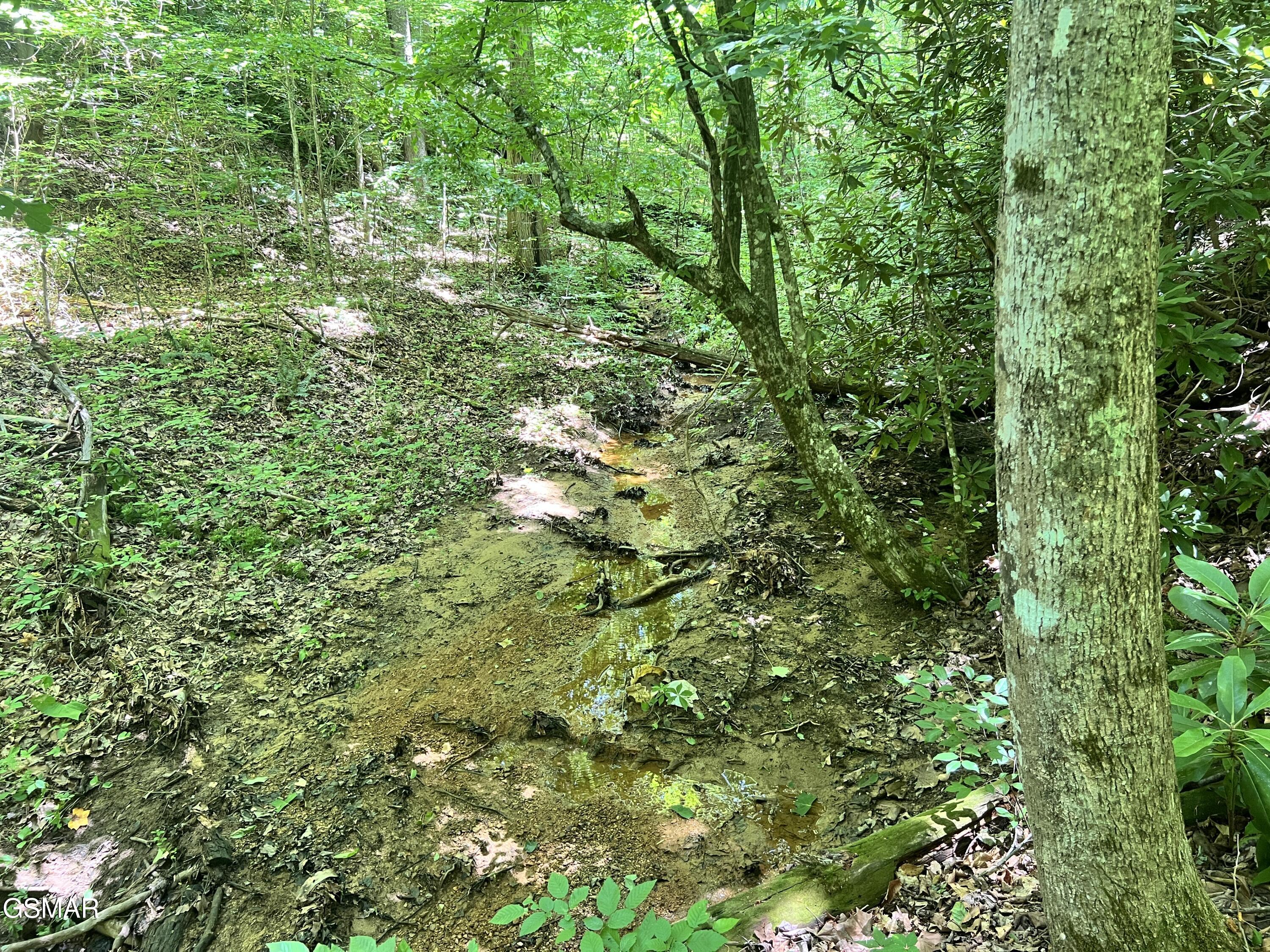 Lot 110 Fir Drive Sevierville TN 37876