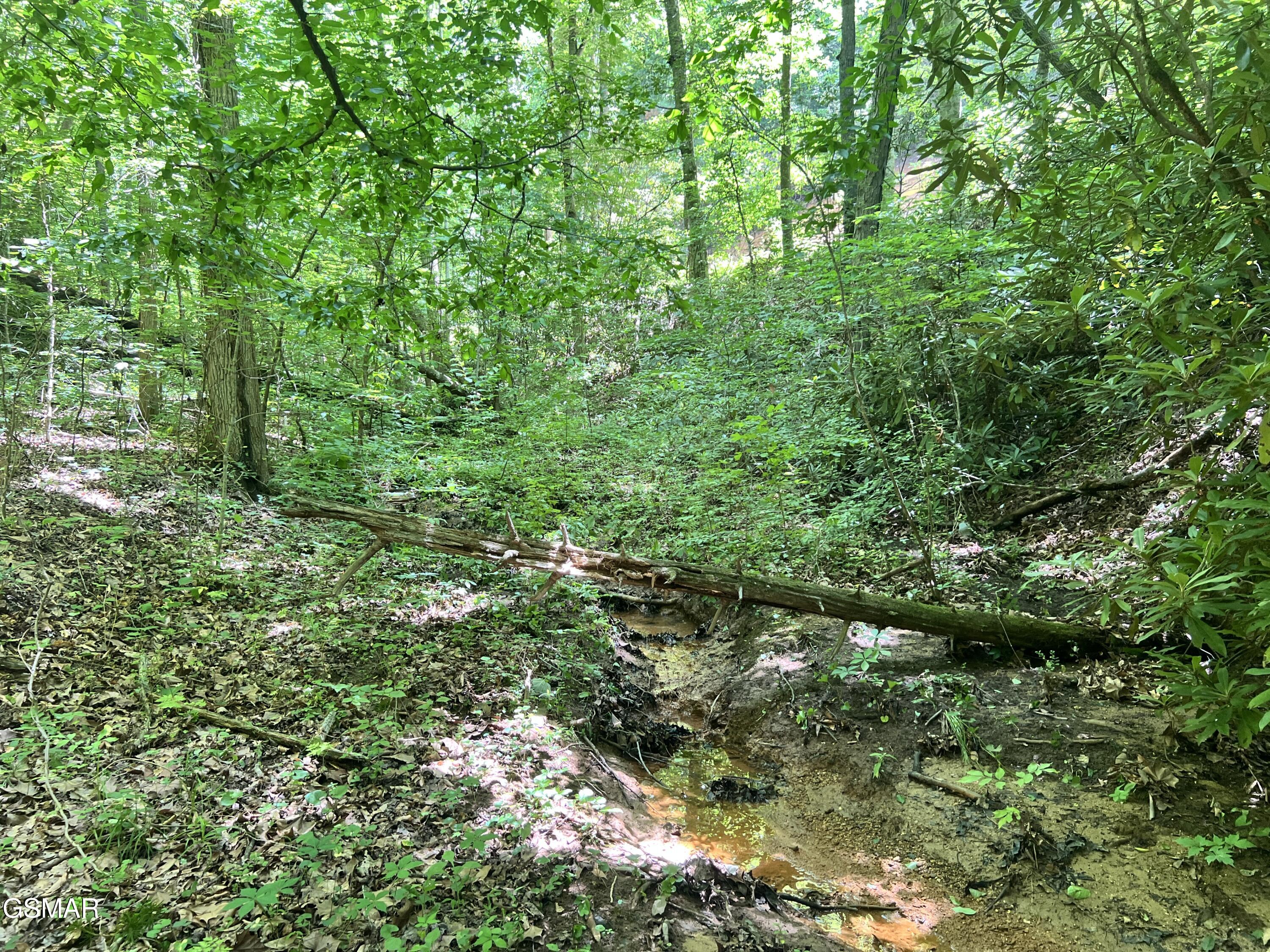 Lot 110 Fir Drive Sevierville TN 37876