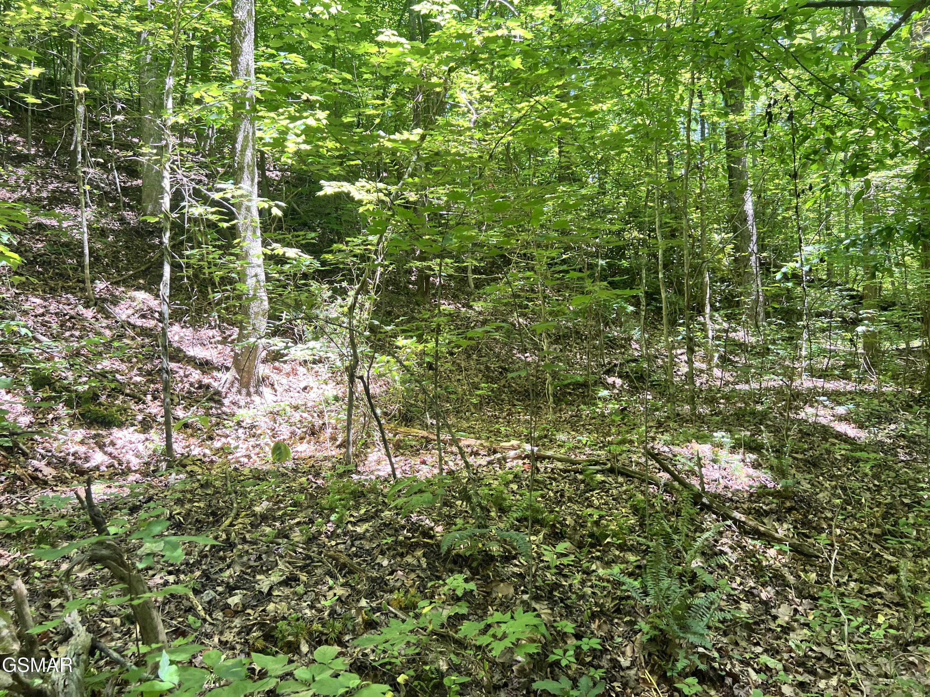 Lot 110 Fir Drive Sevierville TN 37876