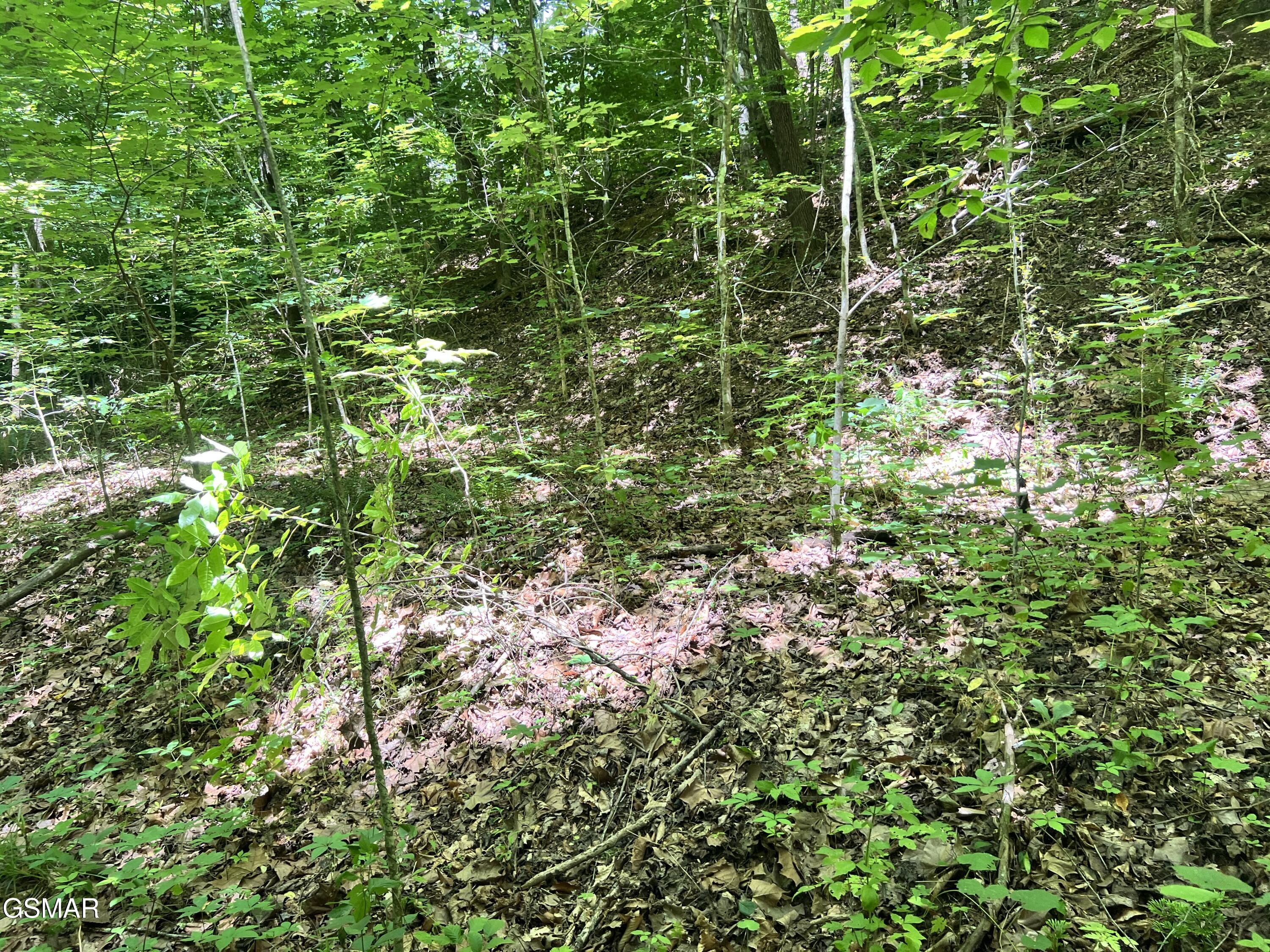 Lot 110 Fir Drive Sevierville TN 37876
