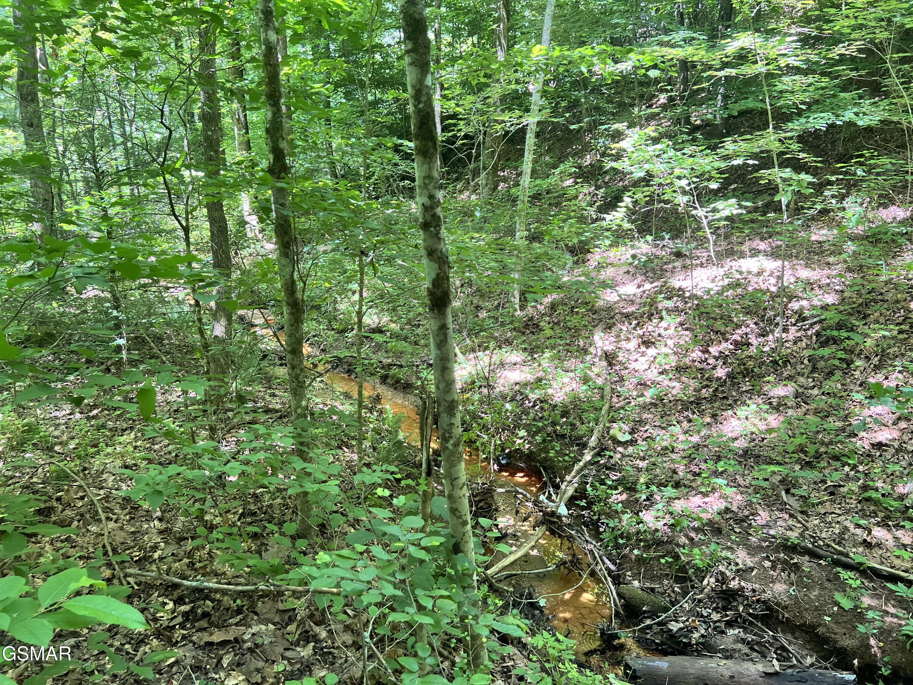 Lot 110 Fir Drive Sevierville TN 37876