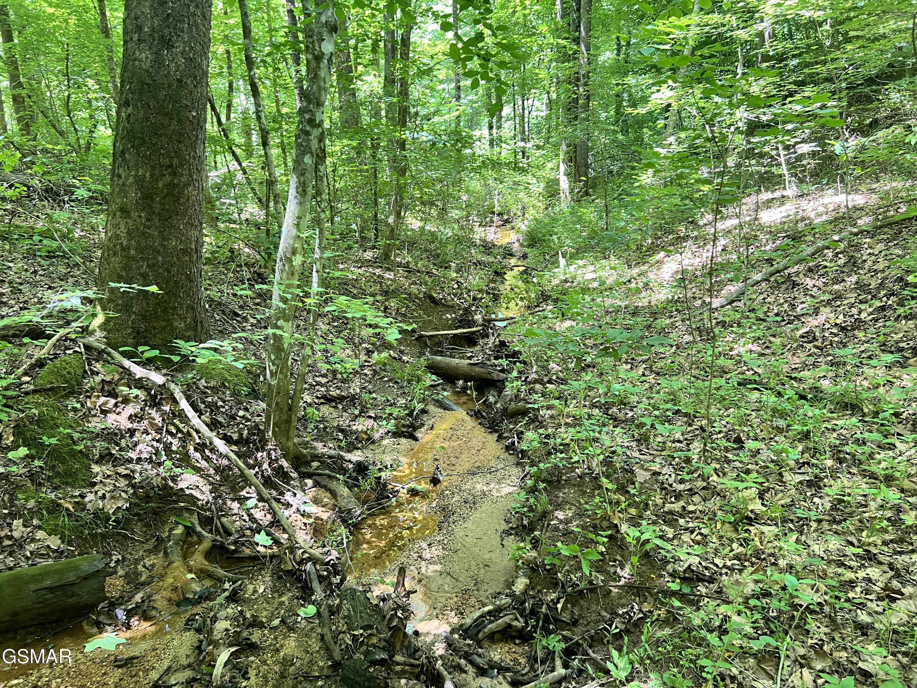 Lot 110 Fir Drive Sevierville TN 37876