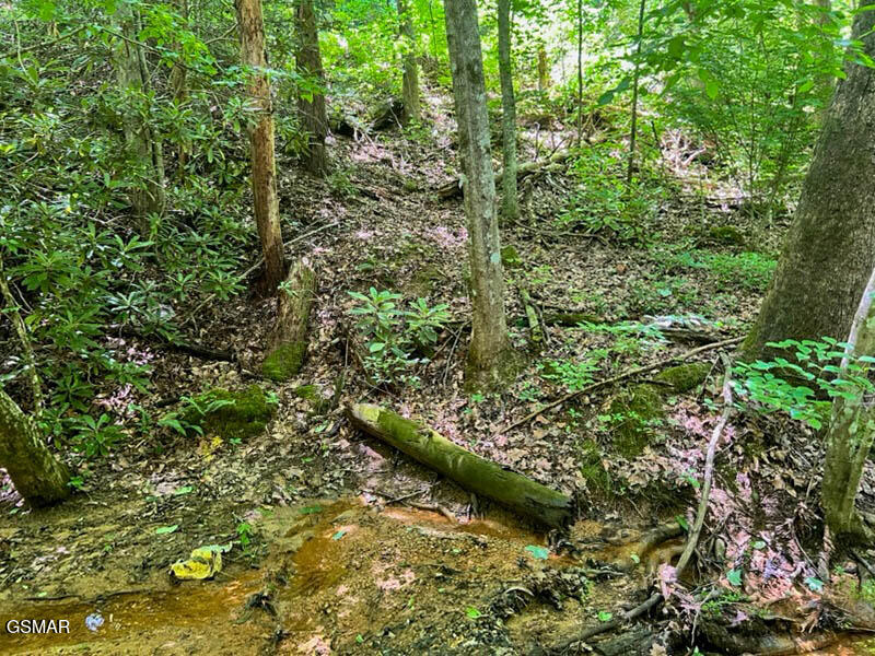 Lot 110 Fir Drive Sevierville TN 37876