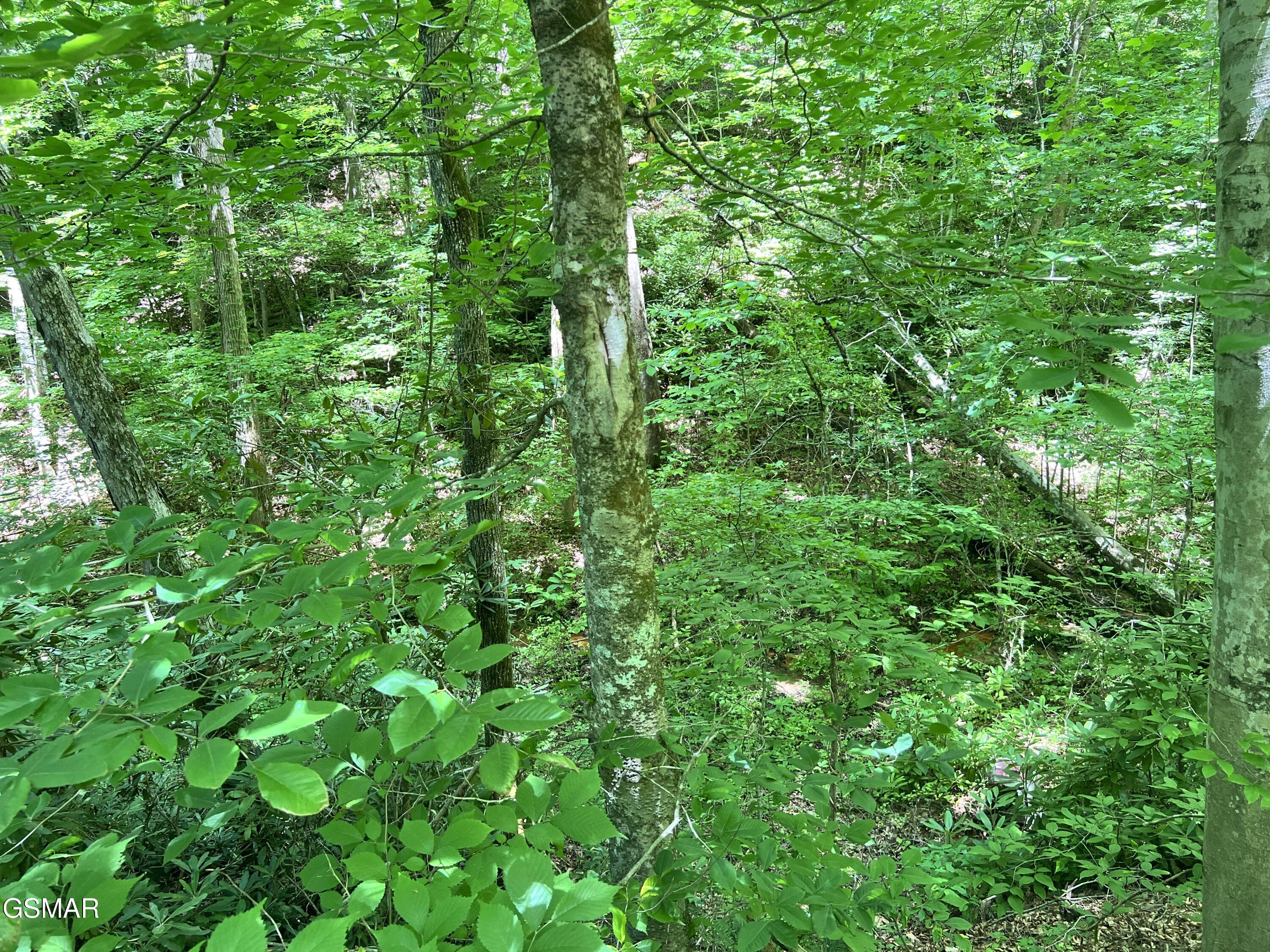 Lot 110 Fir Drive Sevierville TN 37876