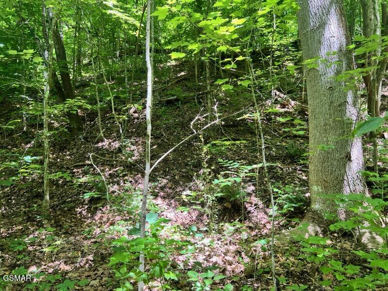 Lot 110 Fir Drive Sevierville TN 37876
