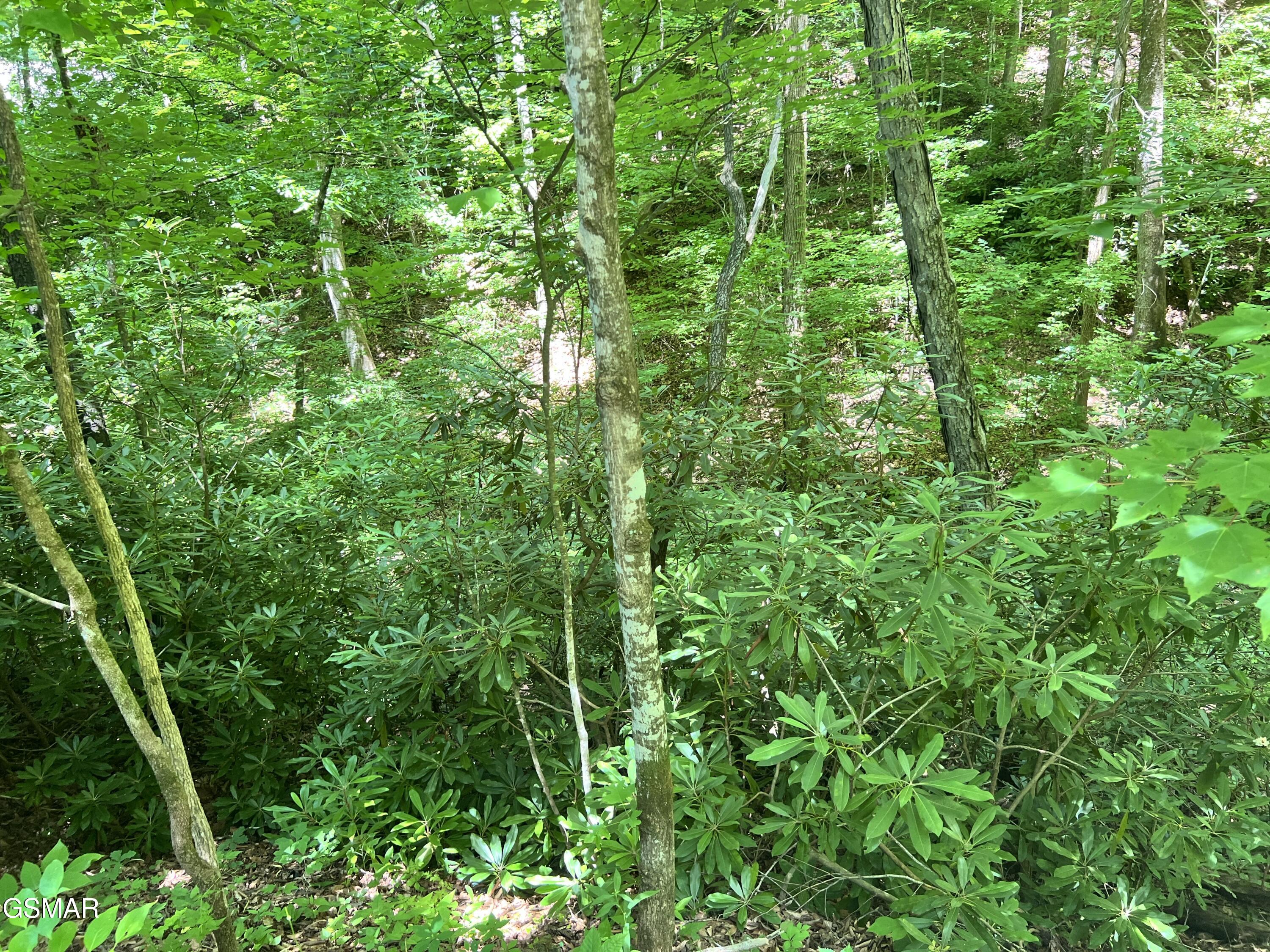 Lot 110 Fir Drive Sevierville TN 37876