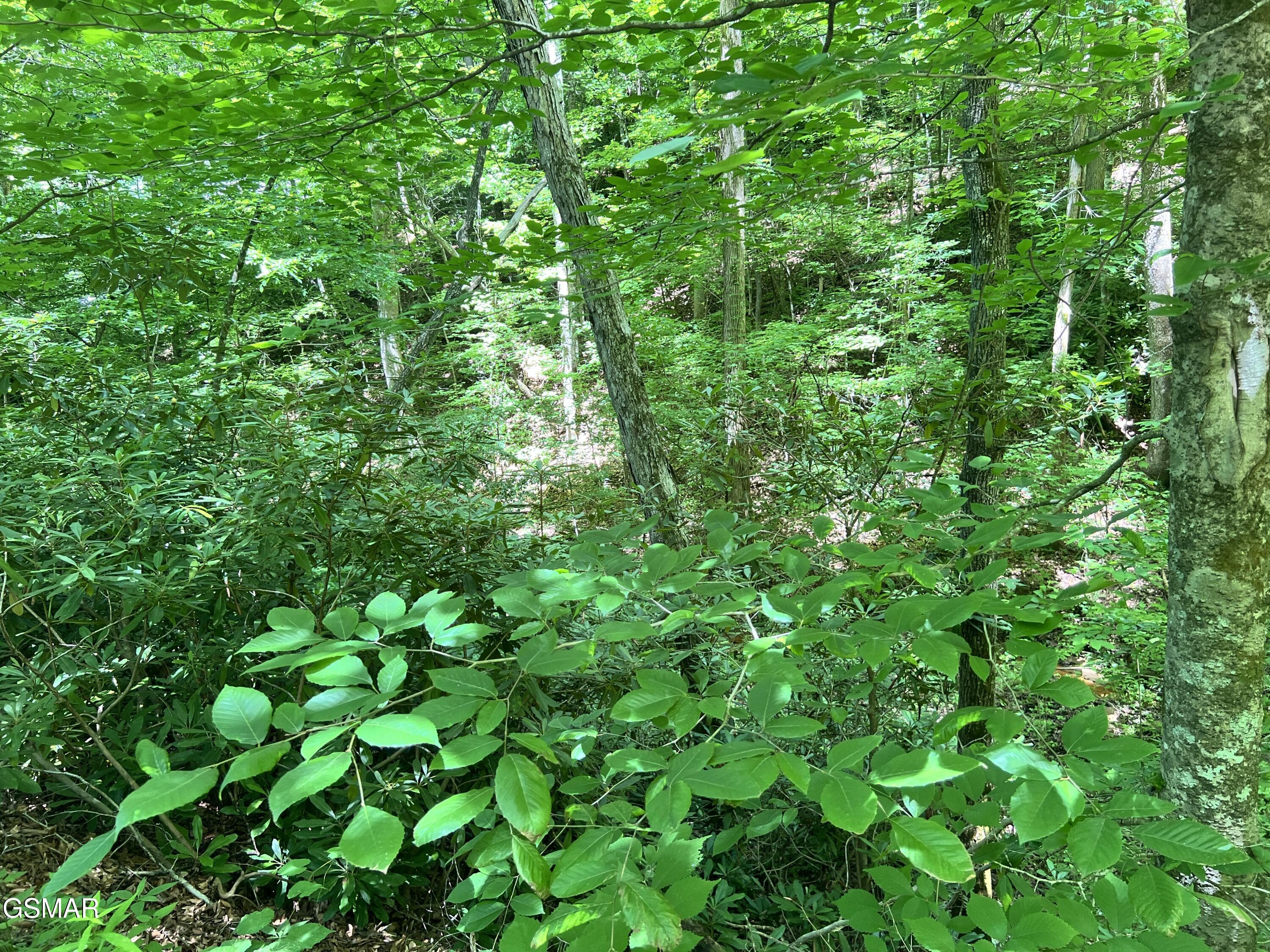 Lot 110 Fir Drive Sevierville TN 37876