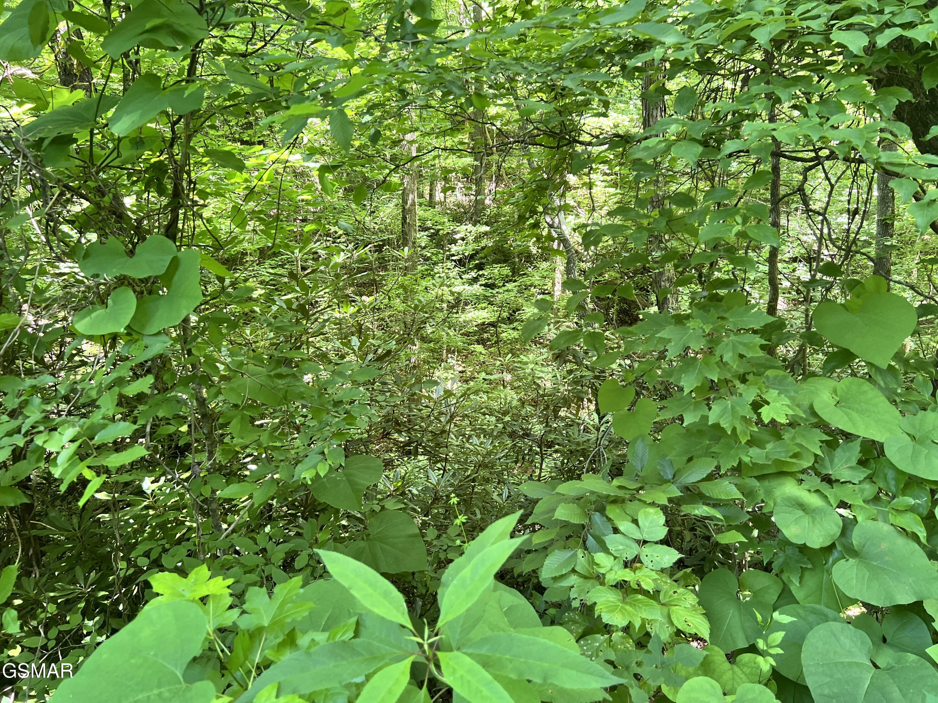 Lot 110 Fir Drive Sevierville TN 37876