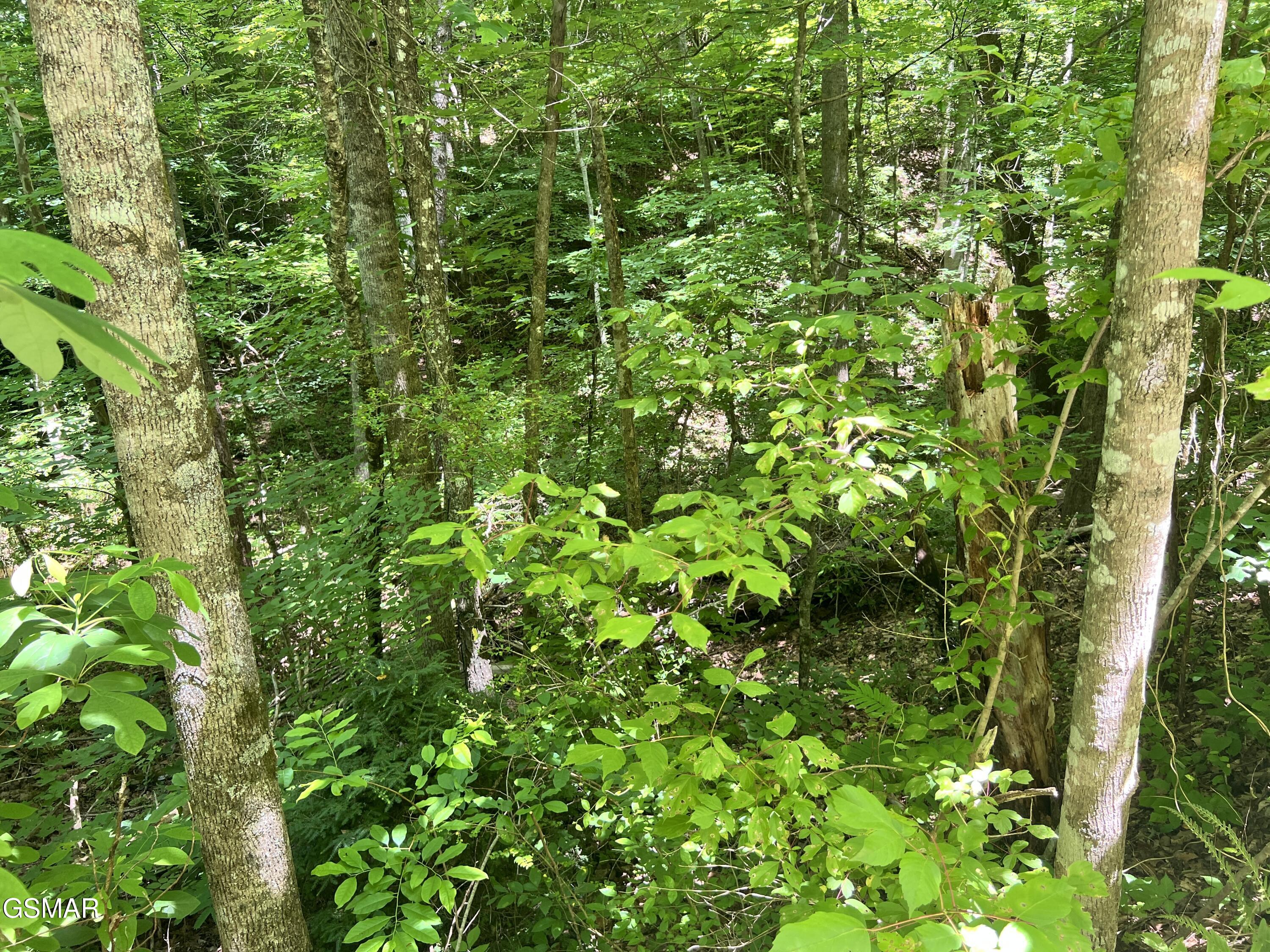 Lot 110 Fir Drive Sevierville TN 37876