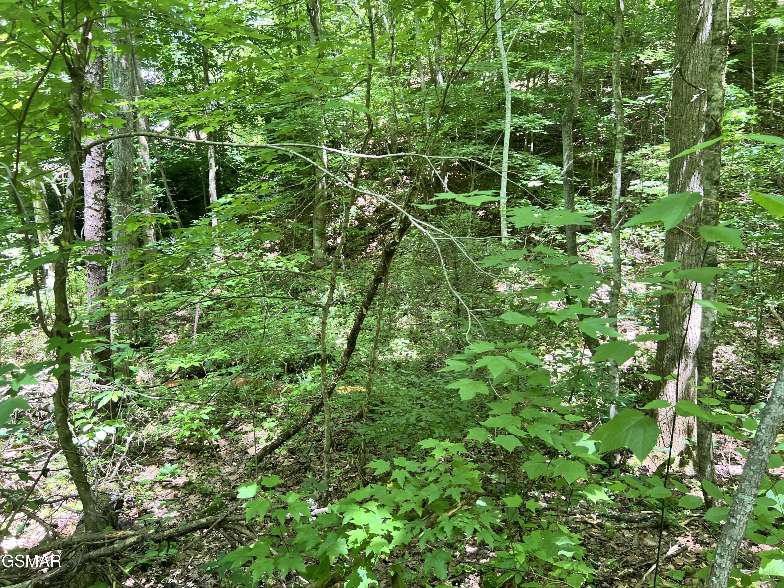 Lot 110 Fir Drive Sevierville TN 37876