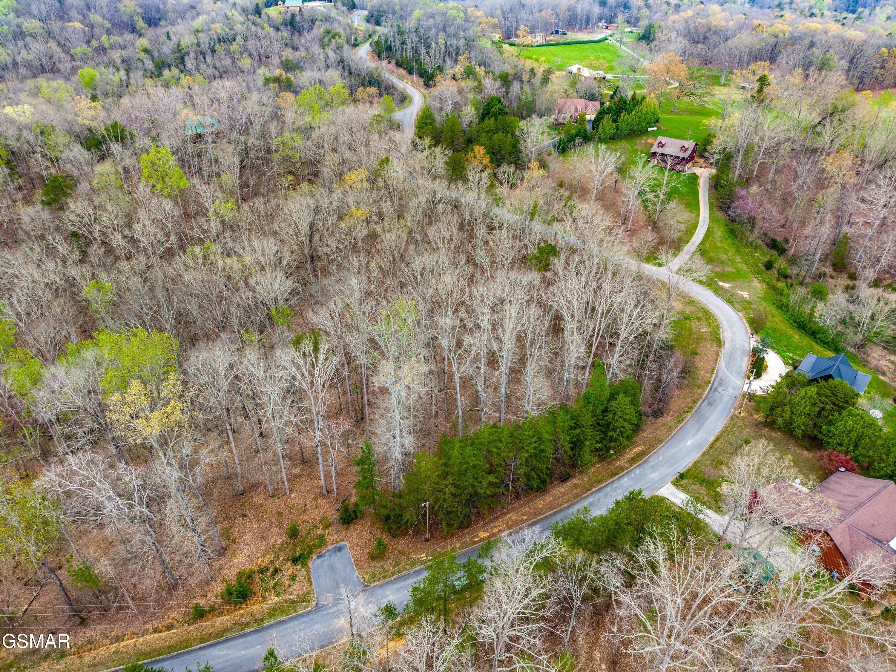 Lot 106 Turtle Dove Trail Dandridge TN 37725