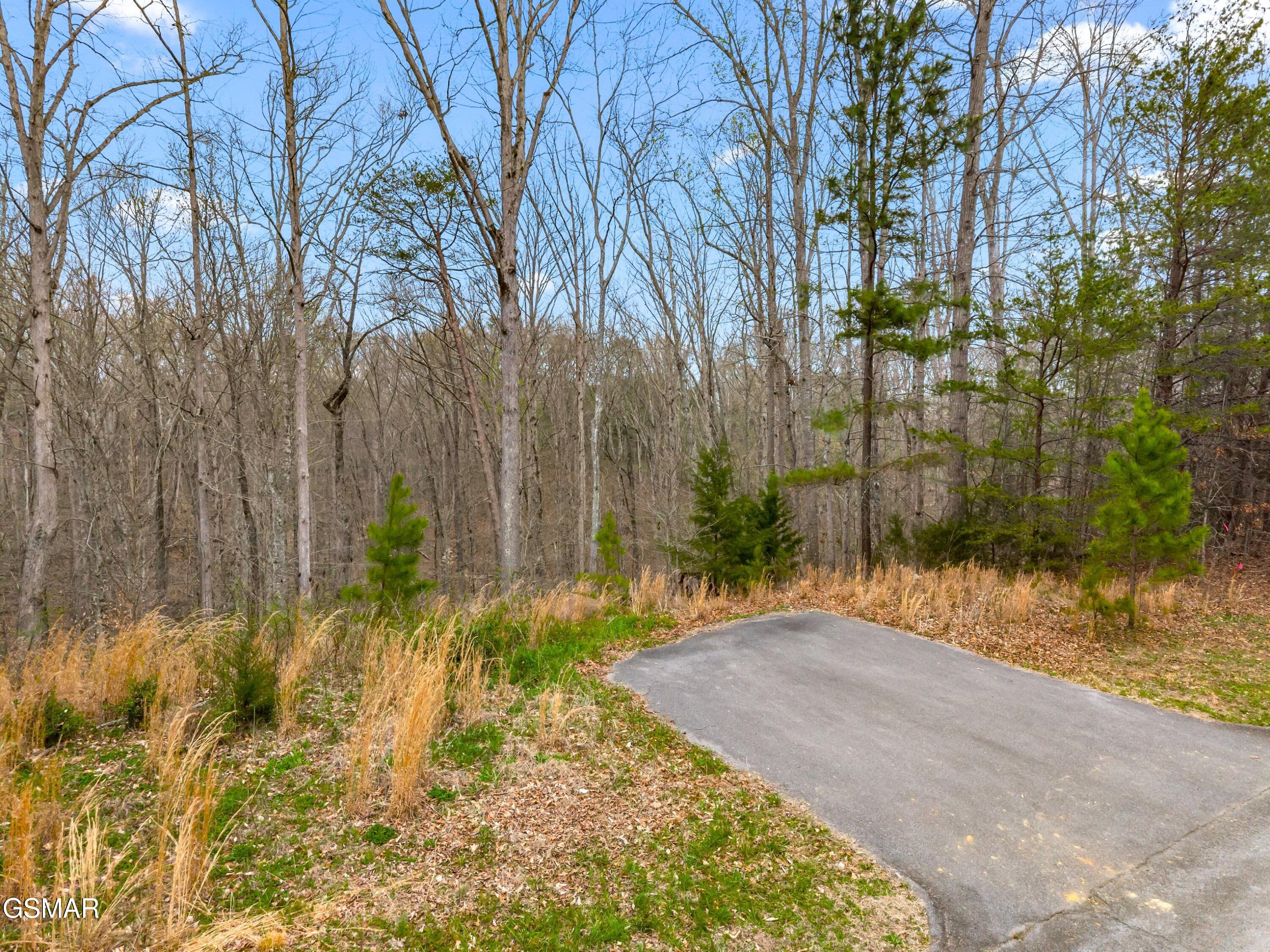 Lot 106 Turtle Dove Trail Dandridge TN 37725