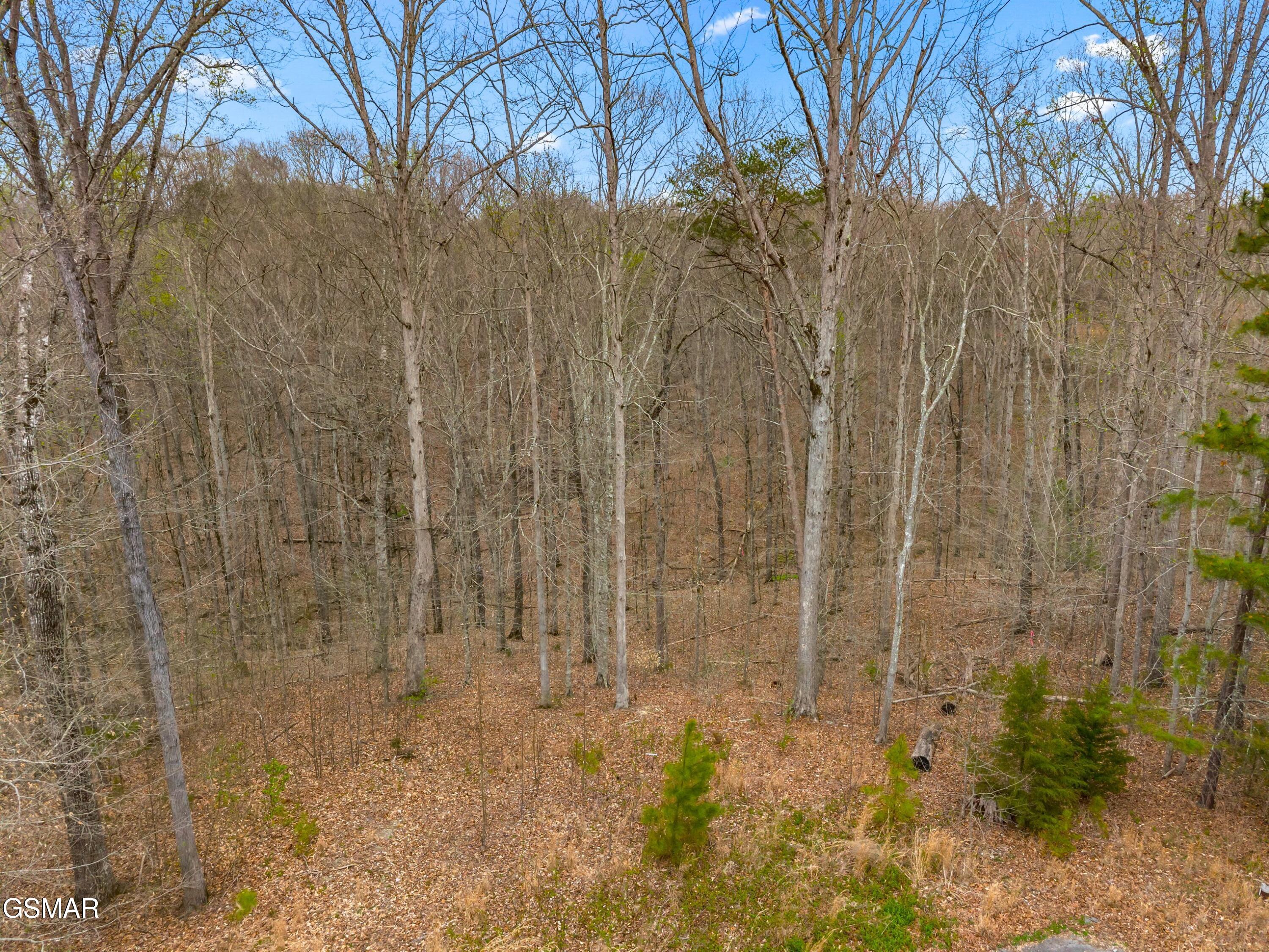 Lot 106 Turtle Dove Trail Dandridge TN 37725
