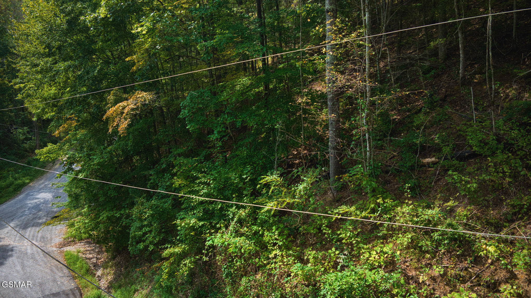Lot 11 Stepping Stone Drive Sevierville TN 37862