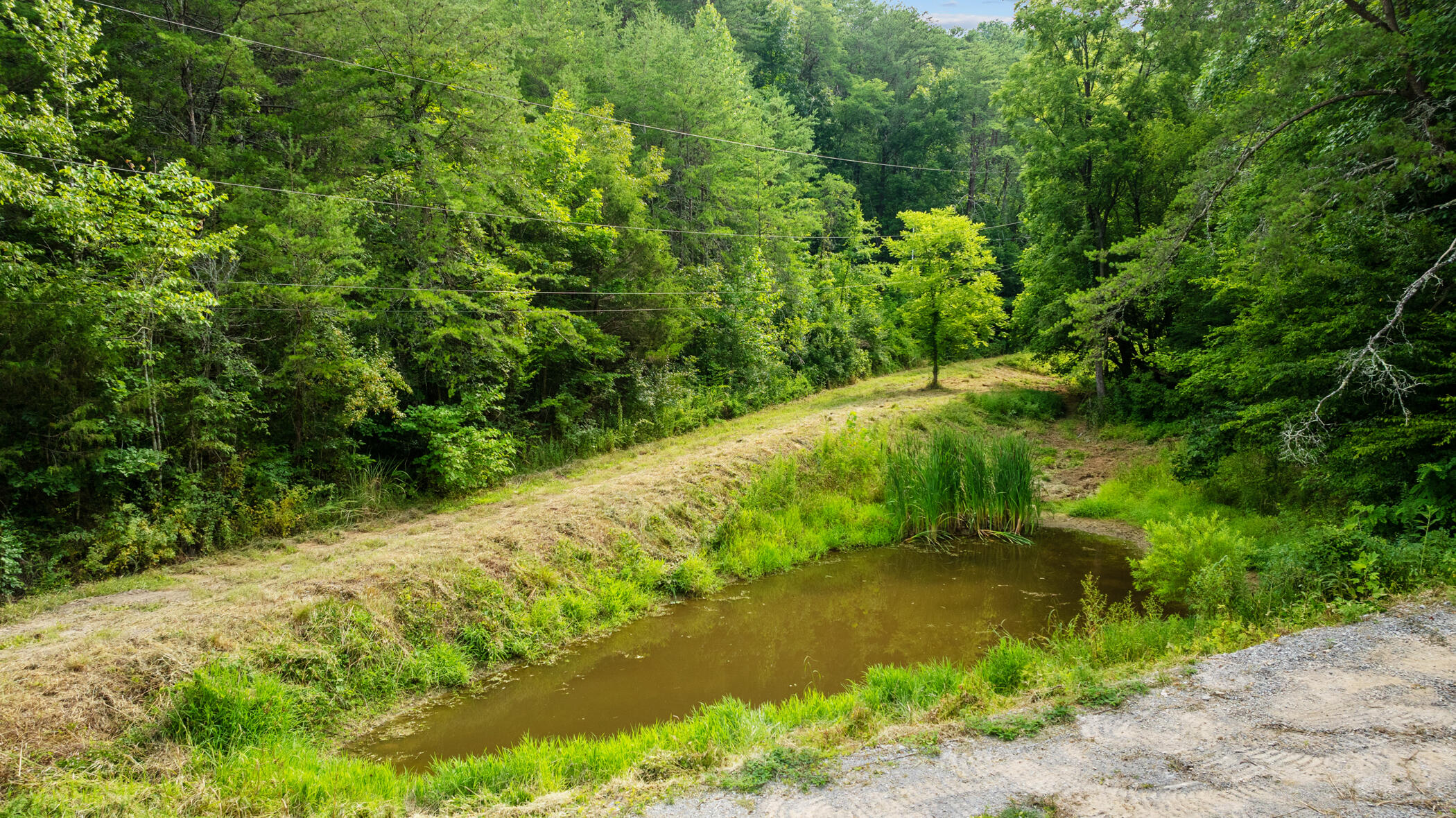 2345 Paradise Way Sevierville TN 37876