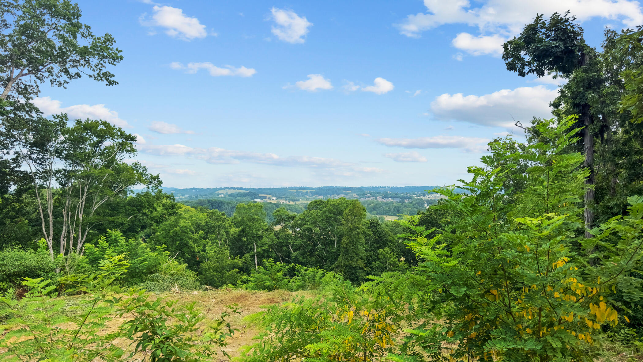 2345 Paradise Way Sevierville TN 37876