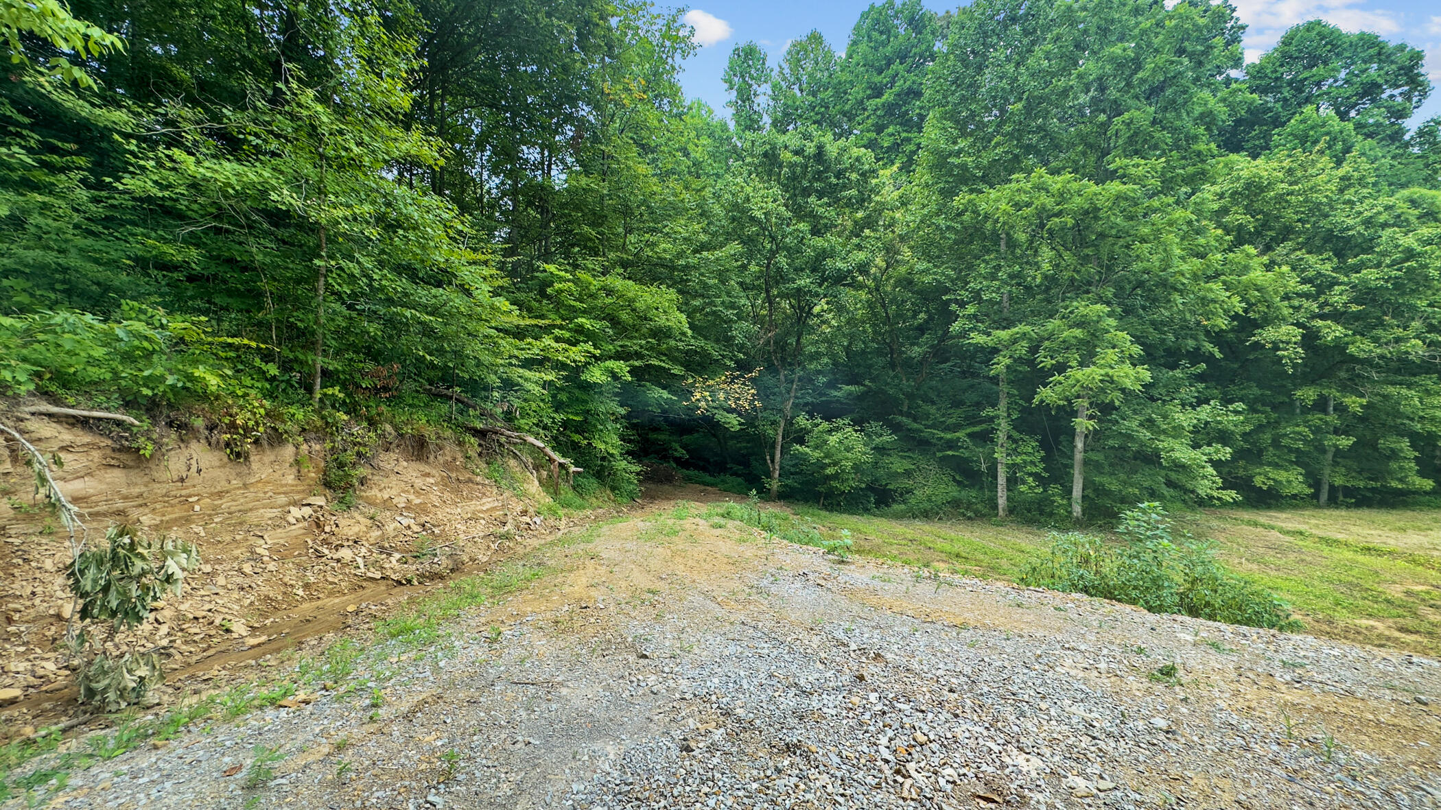 2345 Paradise Way Sevierville TN 37876
