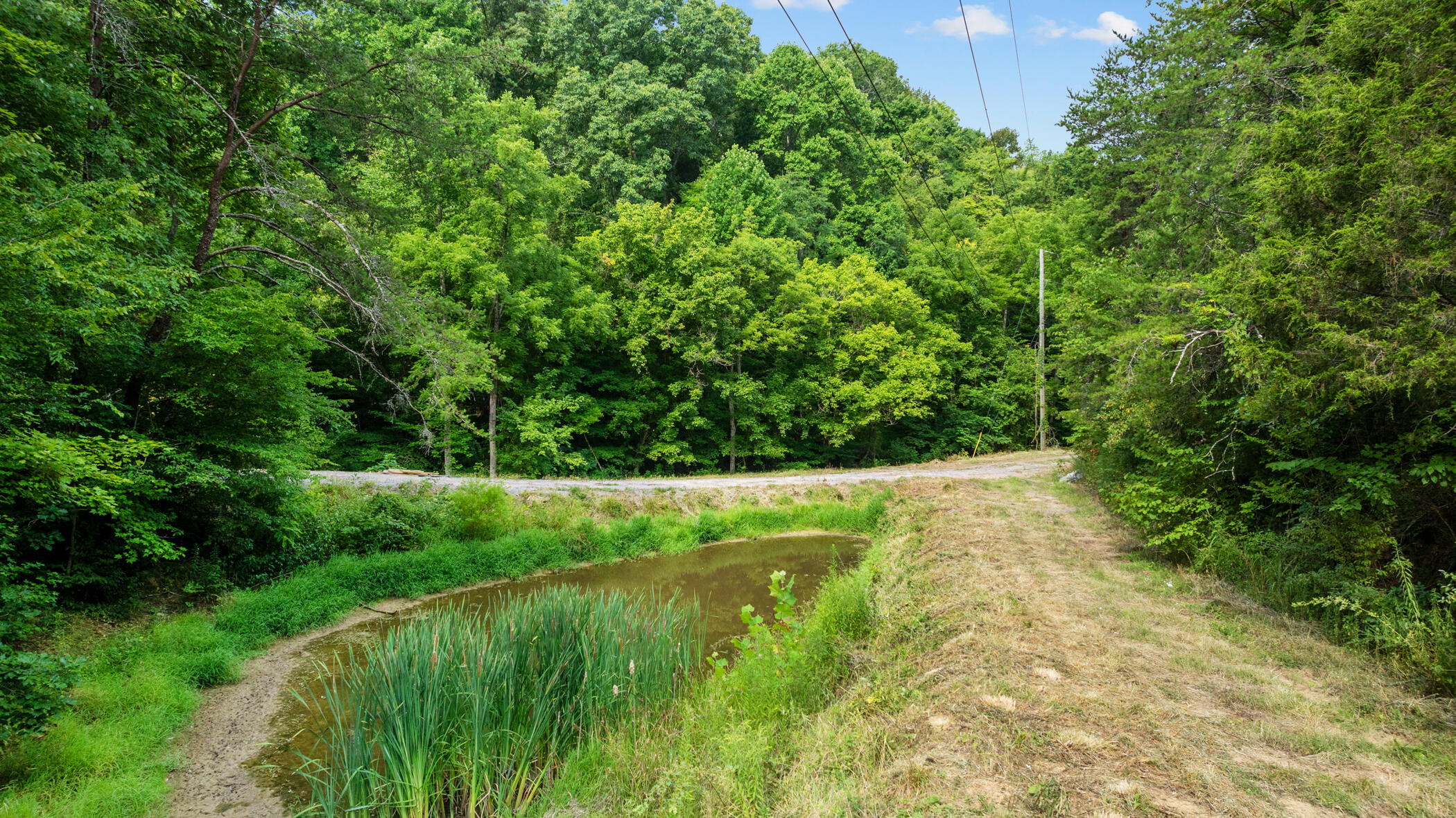 2345 Paradise Way Sevierville TN 37876