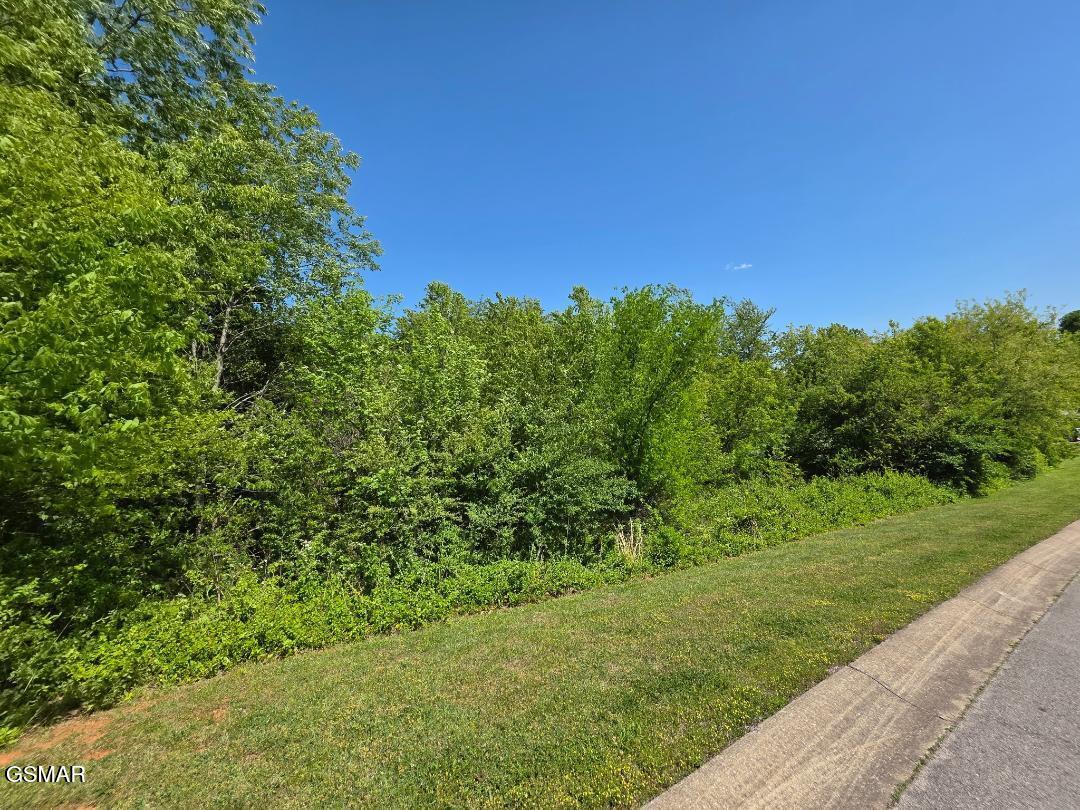Lot 68 Southview Circle Kodak TN 37764